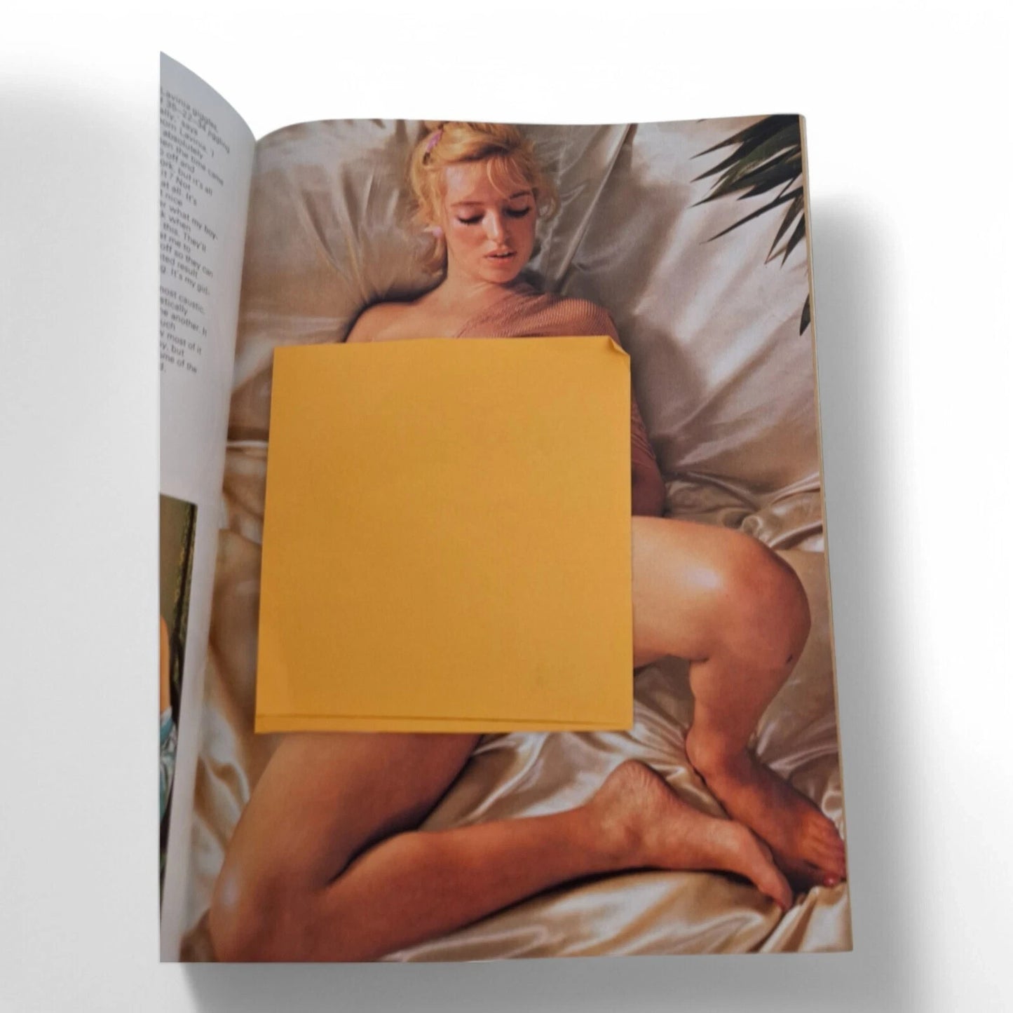 Vintage Mayfair Magazine Vol. 12 No. 5 May 1977 Playboy Alexandra Bogojevic