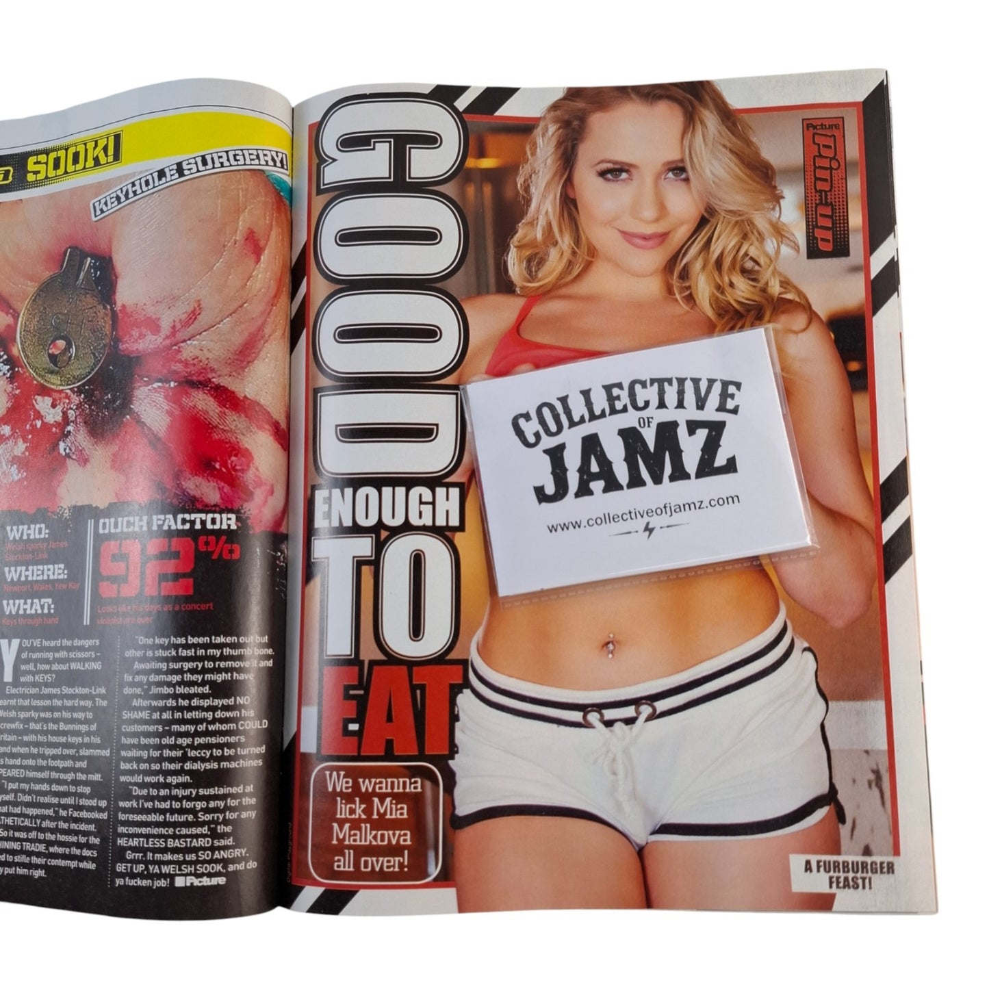 The Picture Magazine Australia #1441 October 2017 Sophie Reade / Mia Malkova