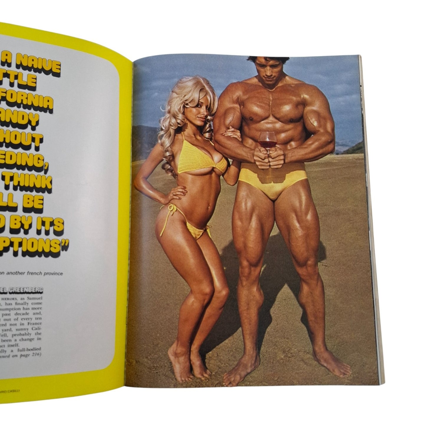 Playboy Magazine April 1975 Cyndi Wood / Victoria Cunningham