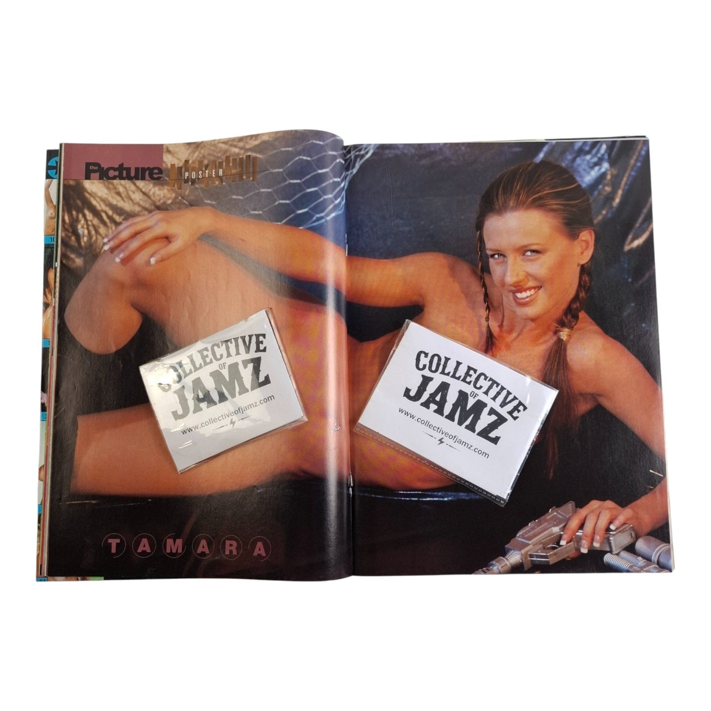 The Picture Magazine #689 November 2001 Tamara