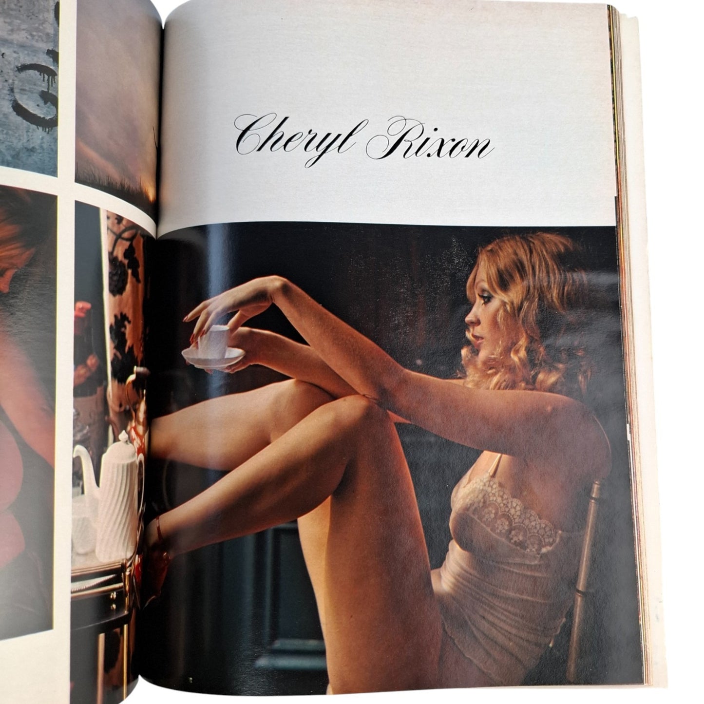 The Girls Of Penthouse Magazine Number Two 1979 #2 Laura Bennet Doone
