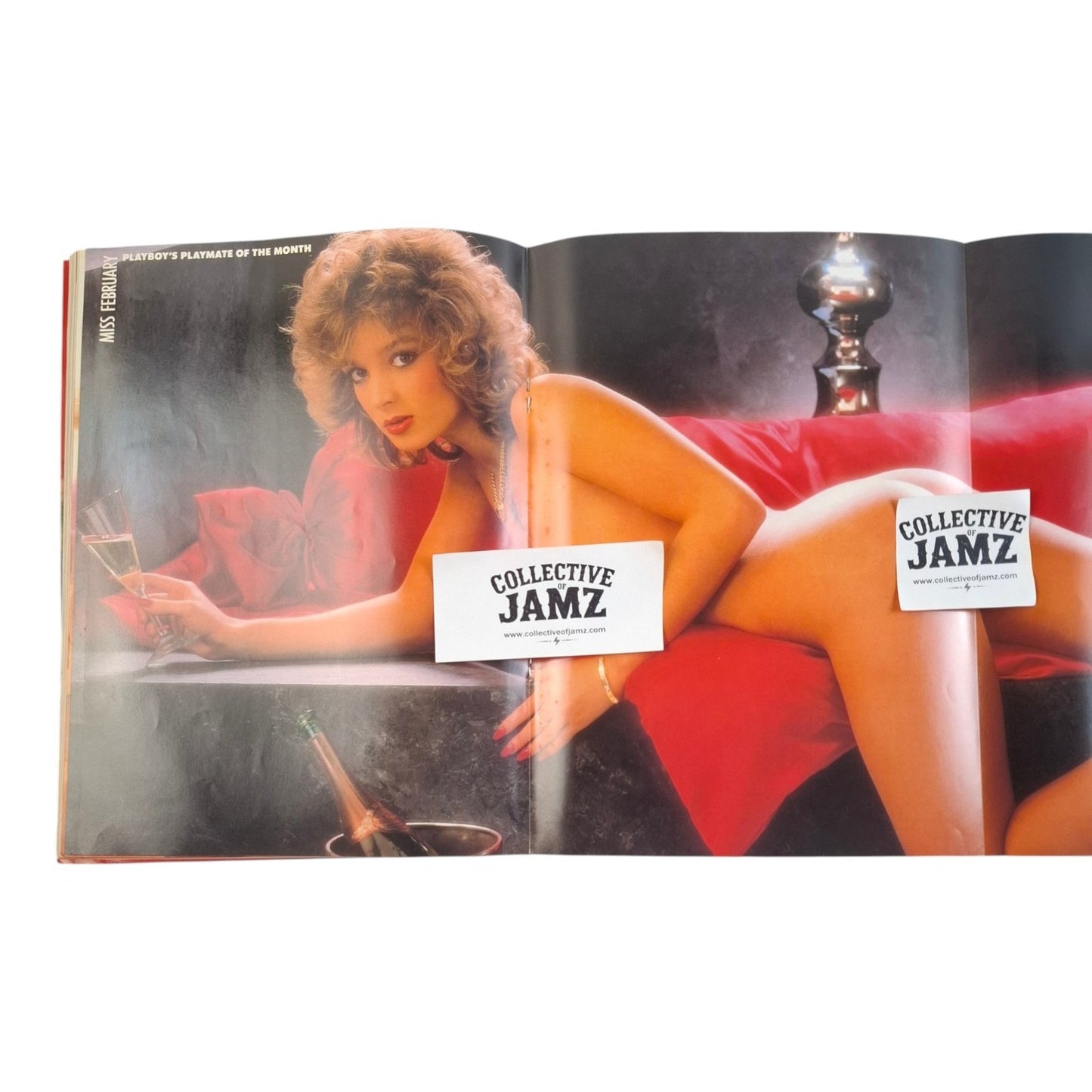 Australian Playboy Magazine February 1985 Dona Speir / Conny Dachs