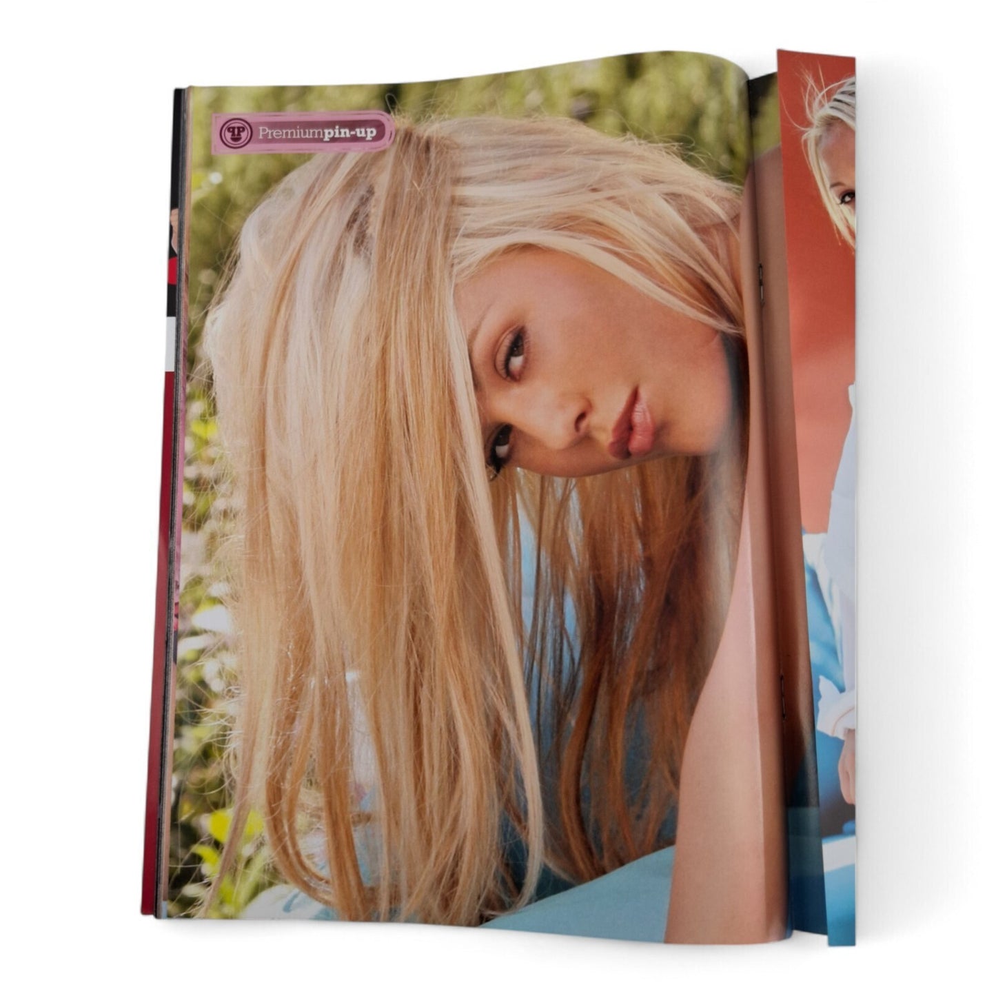 The Picture Premium Magazine Australian Issue 193 Excellent COMPLETE - PLAYBOY
