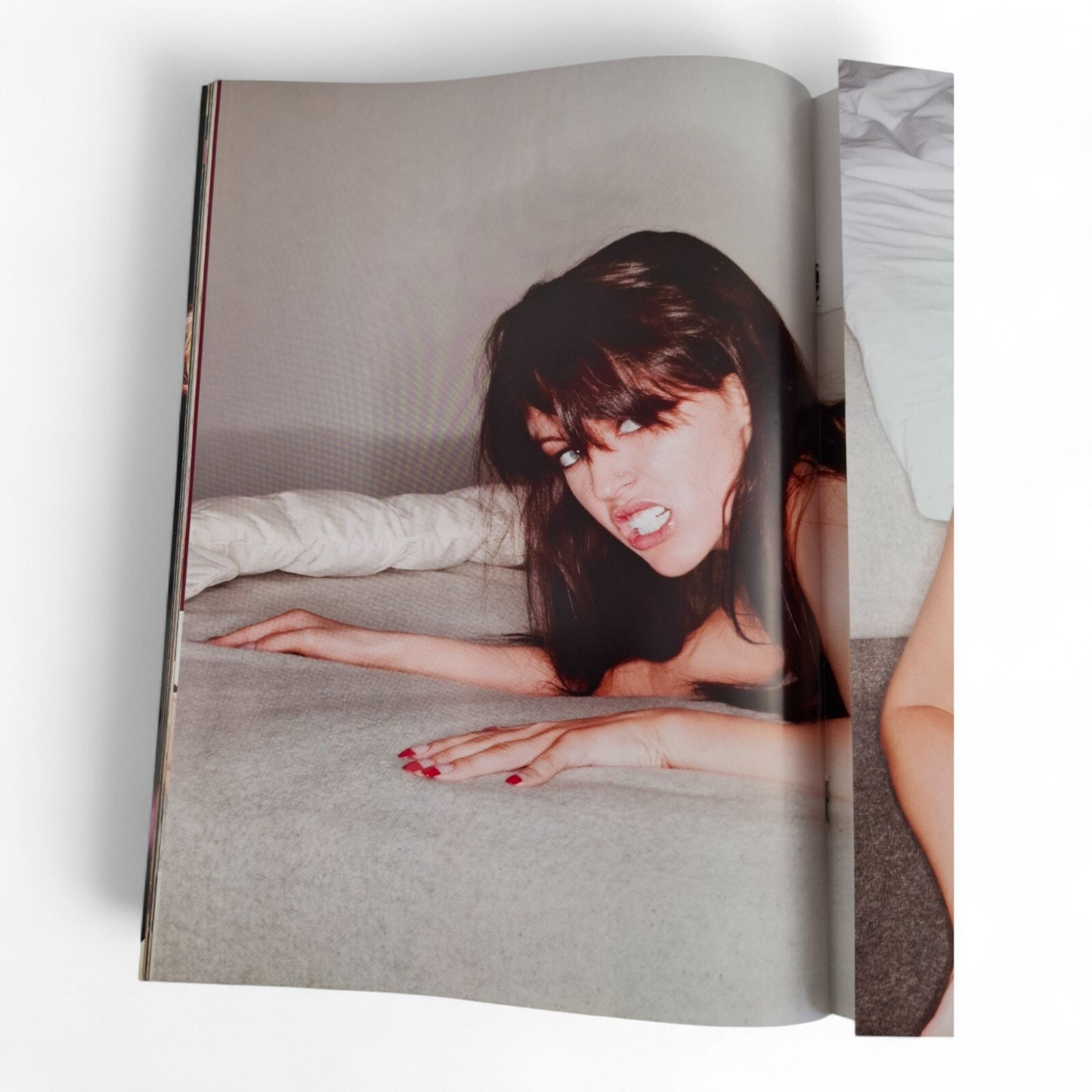 The Picture Premium Magazine Australian Issue 95 Excellent Mayfair - Playboy