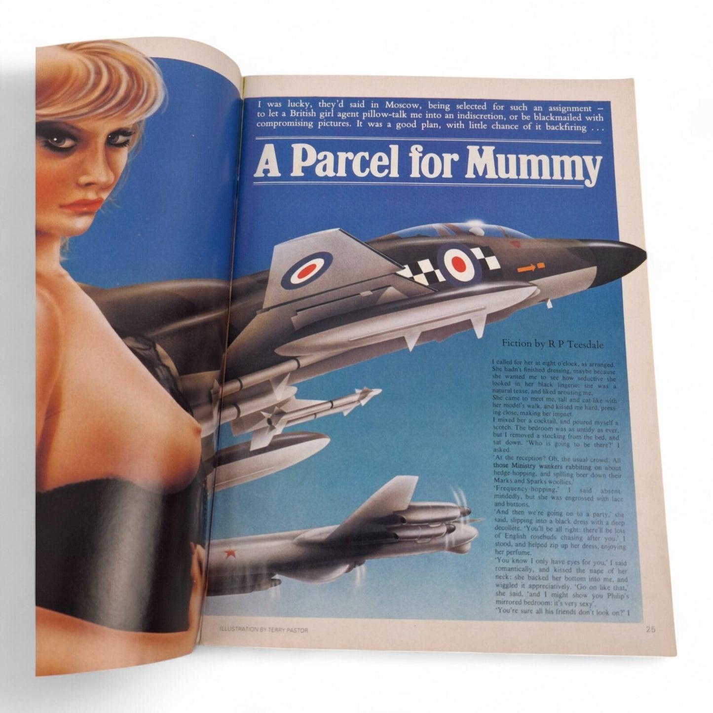 Mayfair Magazine Vol. 19 No. 10 1984 Playboy