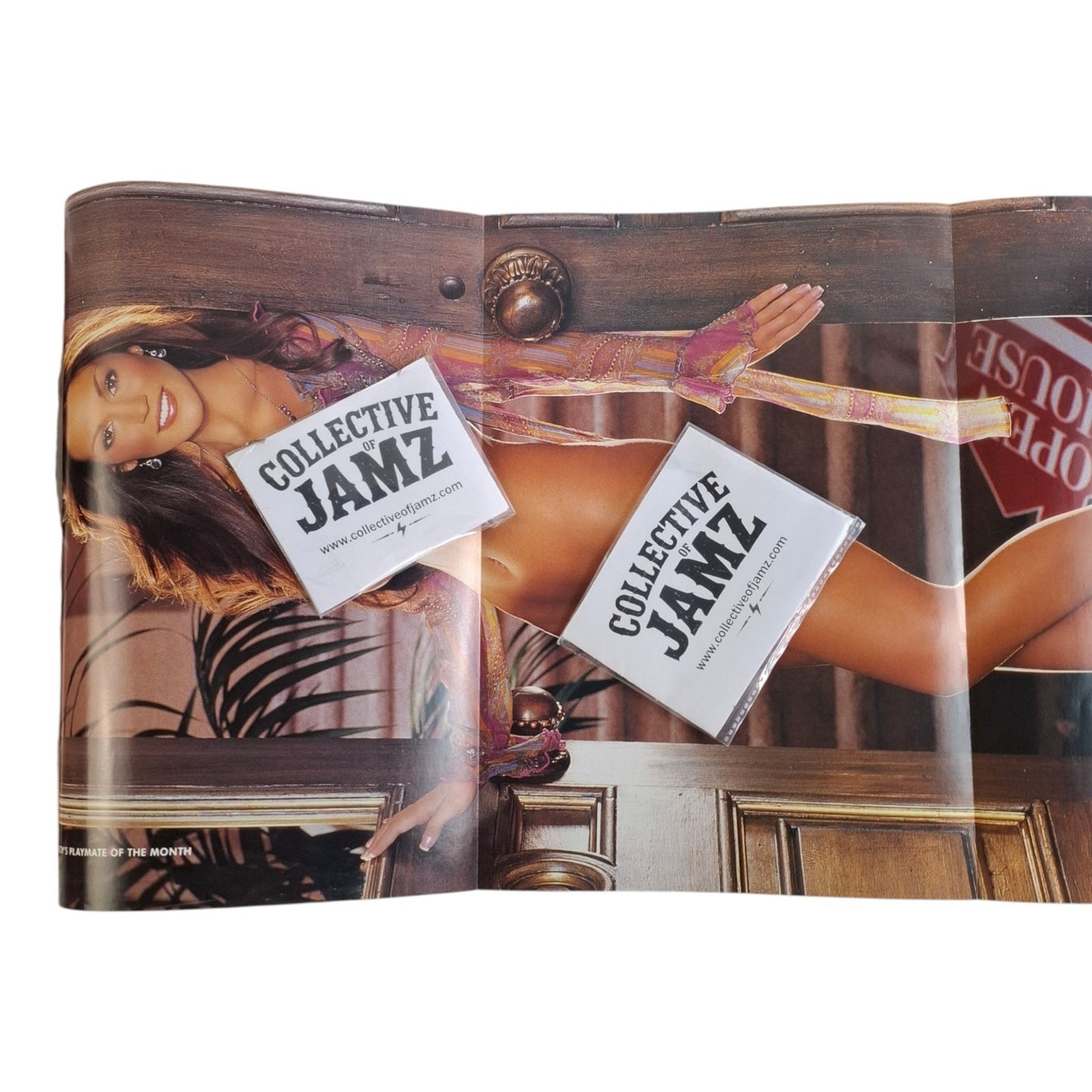 Playboy Magazine May 2005 Michelle Baena / Jamie Westenhiser