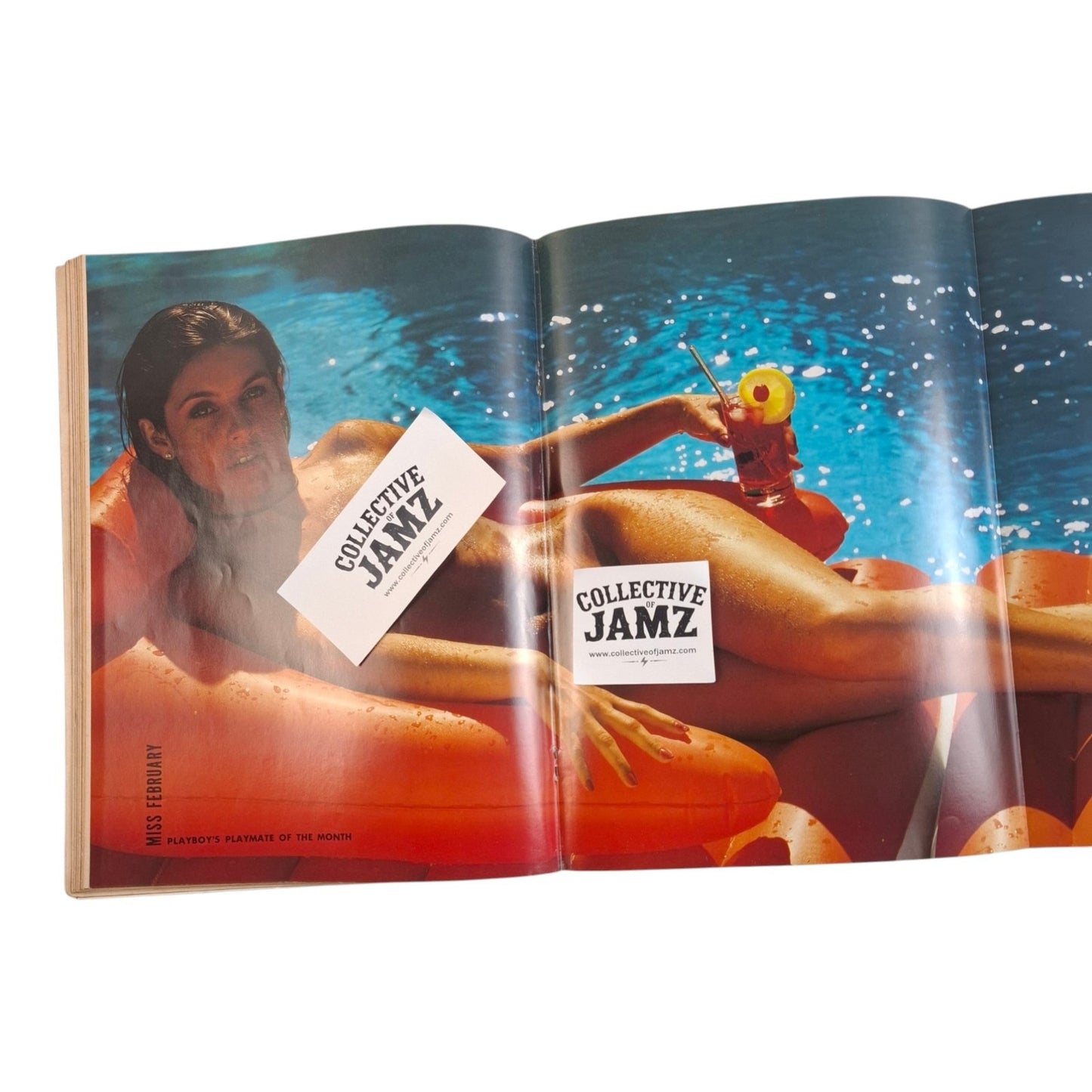 Vintage Australian Playboy Magazine February 1980 Jane Priest