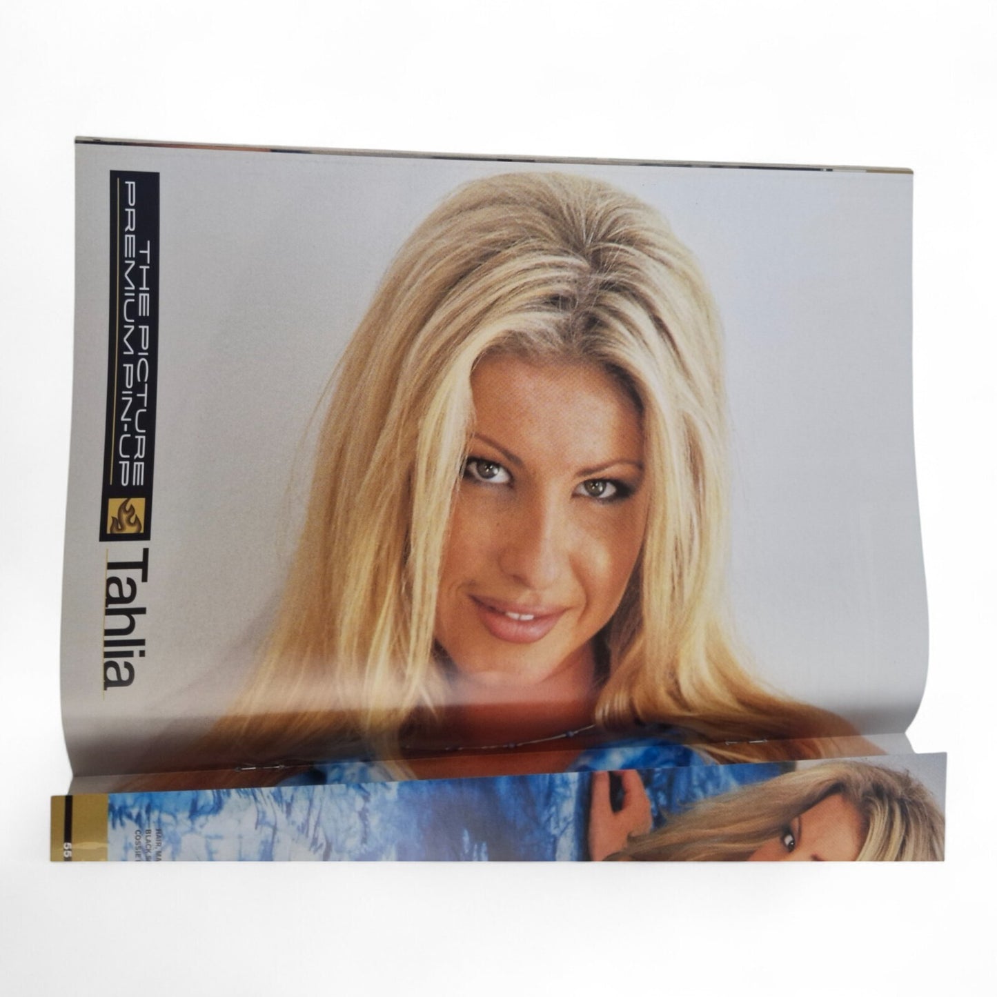 The Picture Premium Magazine Australian Issue 38 Excellent Mayfair - Playboy