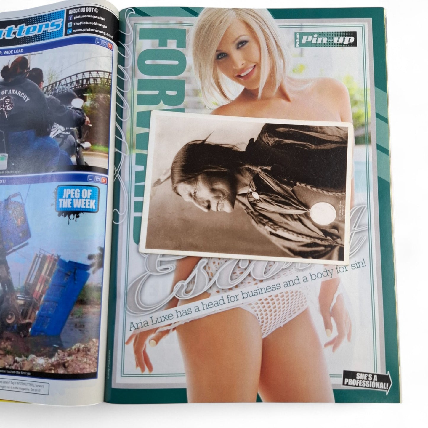 The Picture Magazine Australia #1375 April 2015 Aria Luxe