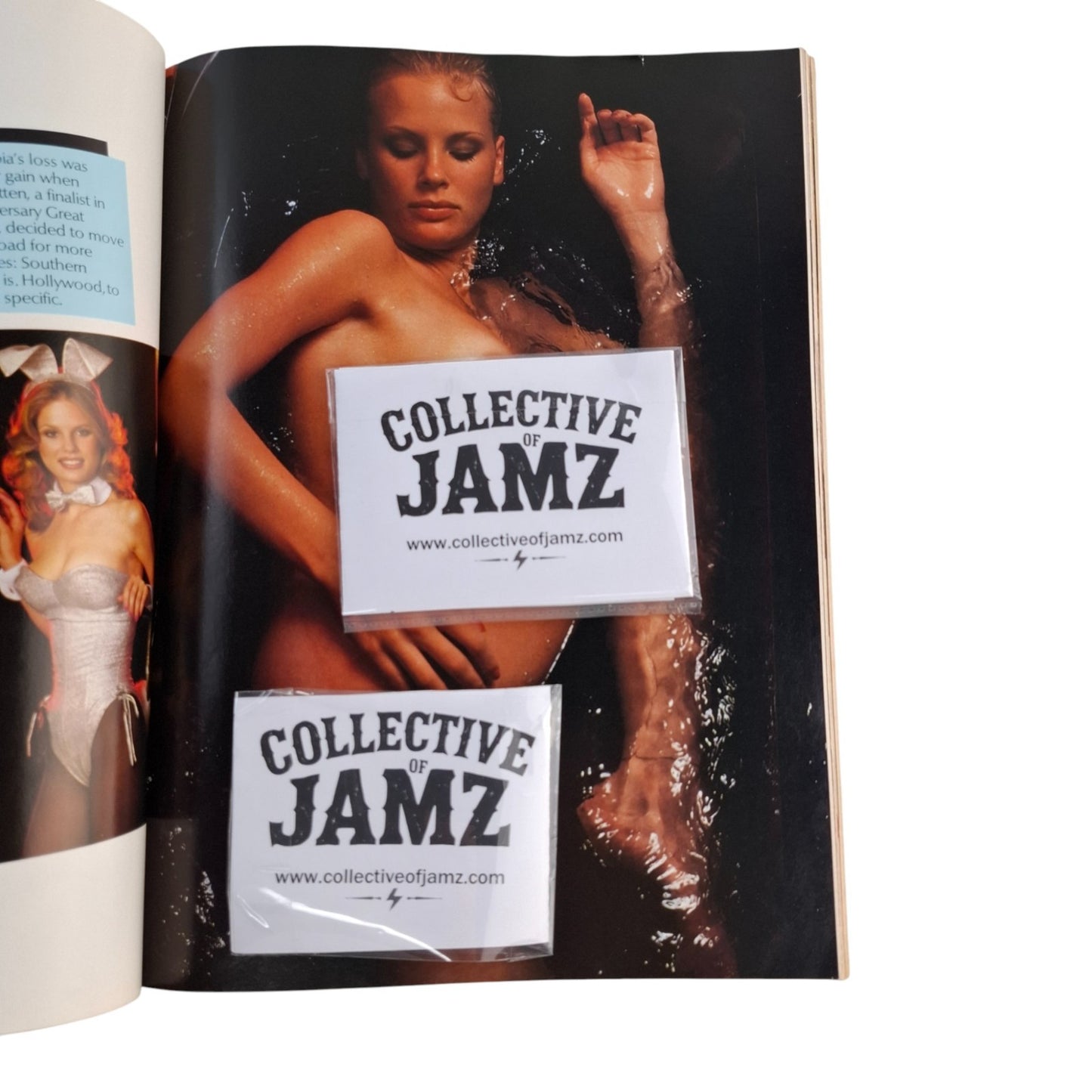 Playboy Bunnies Playmate Special Magazine # 2 Book USA