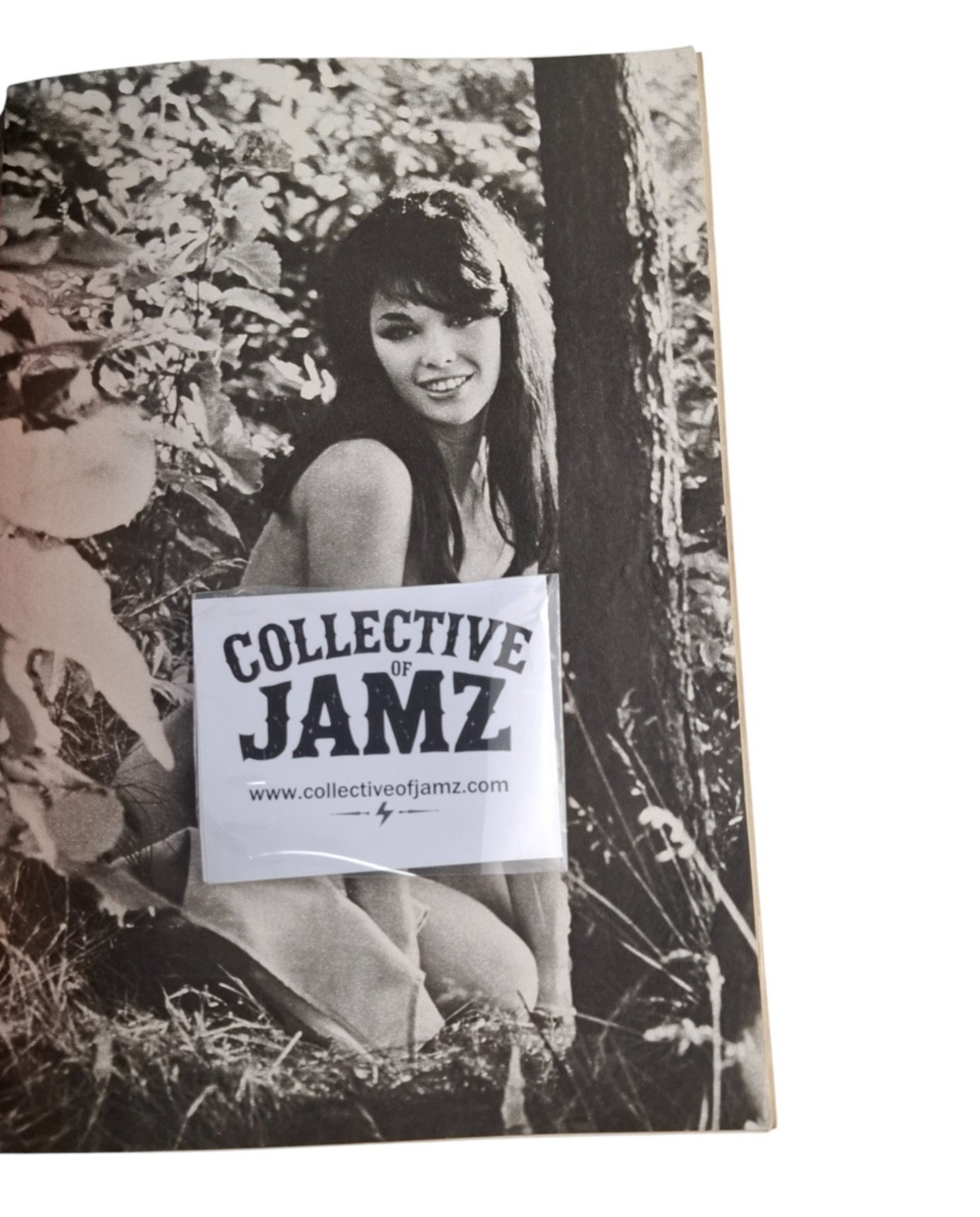 Playboy Bunnies Playmate Magazine Special USA 1972