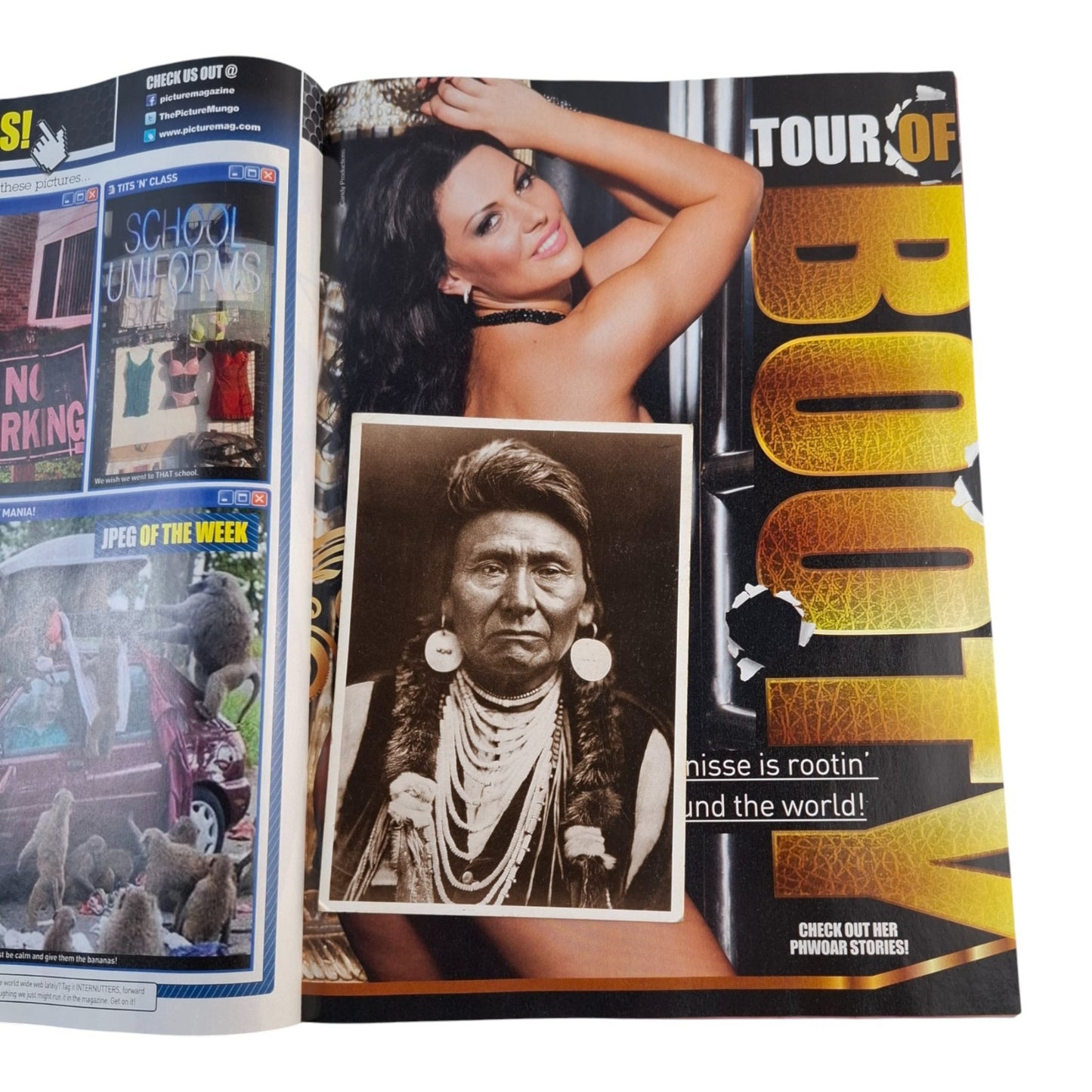 The Picture Magazine #1317 December 2013 Nika / Denise