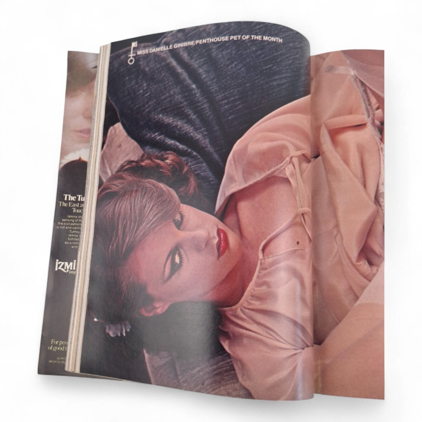 Penthouse Magazine U.S. November 1979 Pet Danielle Ginibre