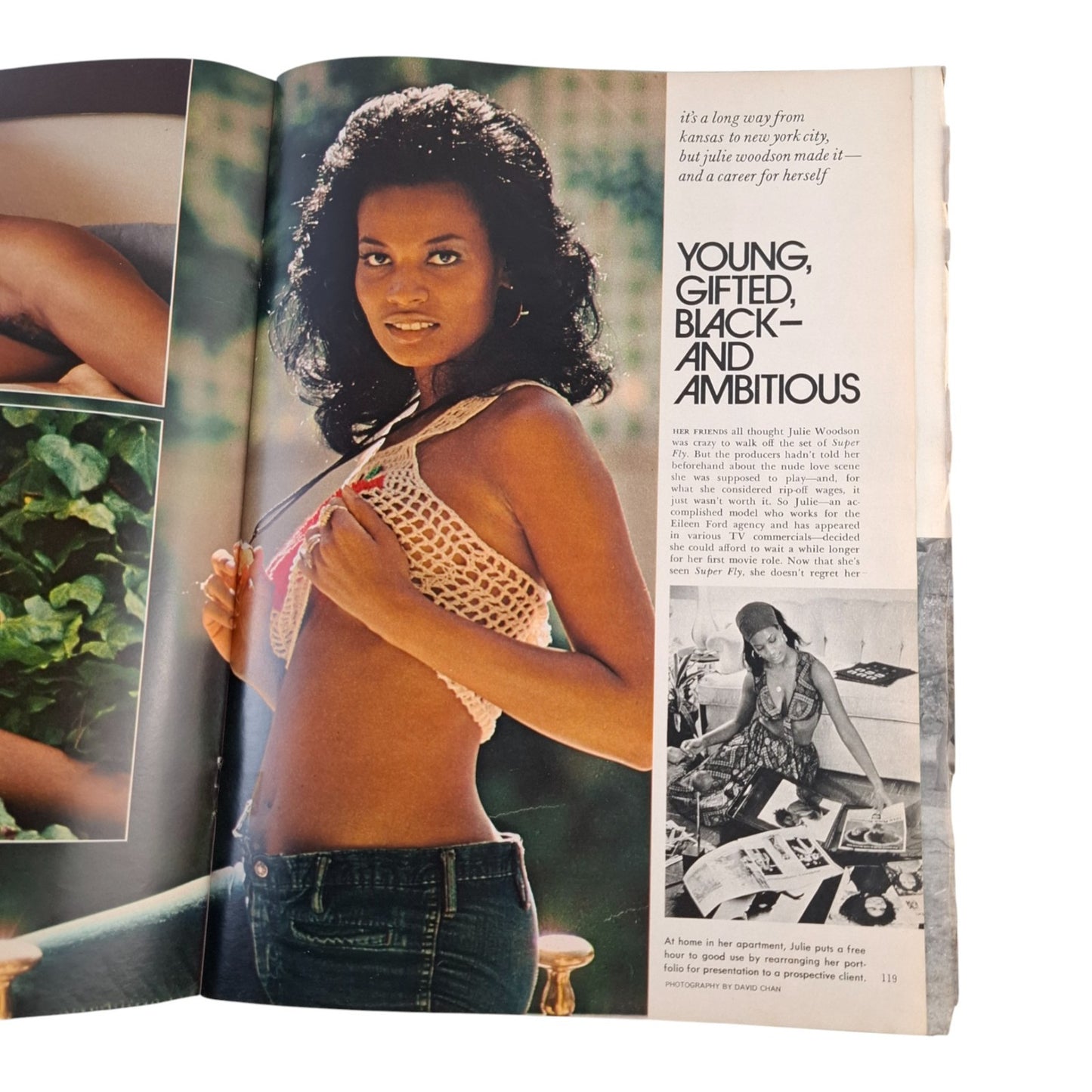 PLAYBOY MAGAZINE April 1973 Lenna Sjooblom Linda Lovelace Tennessee Williams