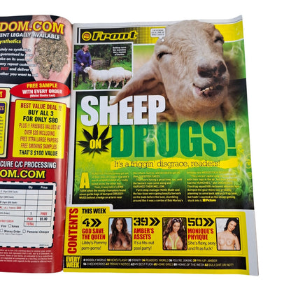 The Picture Magazine #1361 November 2014 Libby Smith