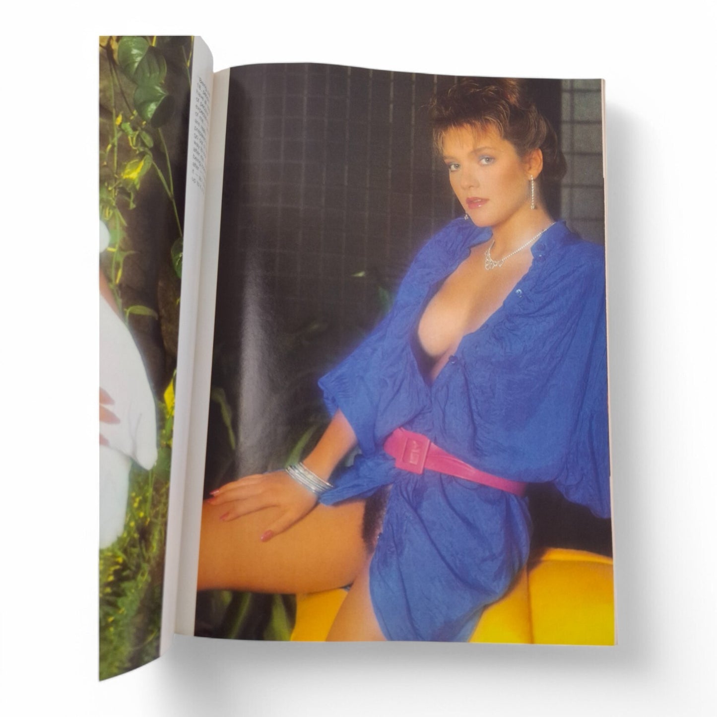 Australian Penthouse Magazine - Black February 1987 Complete Playboy