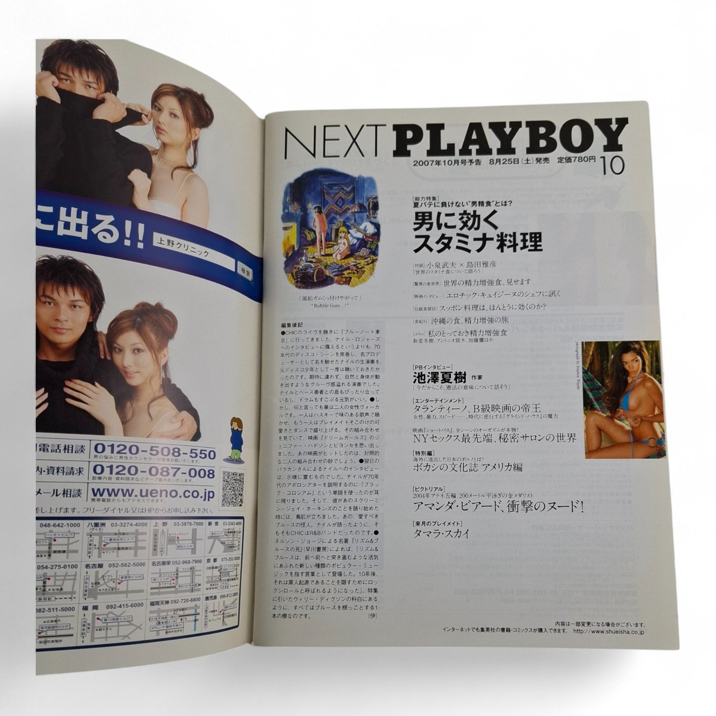 Playboy Magazine Japan September 2007 Darine Stern / Tiffany Selby
