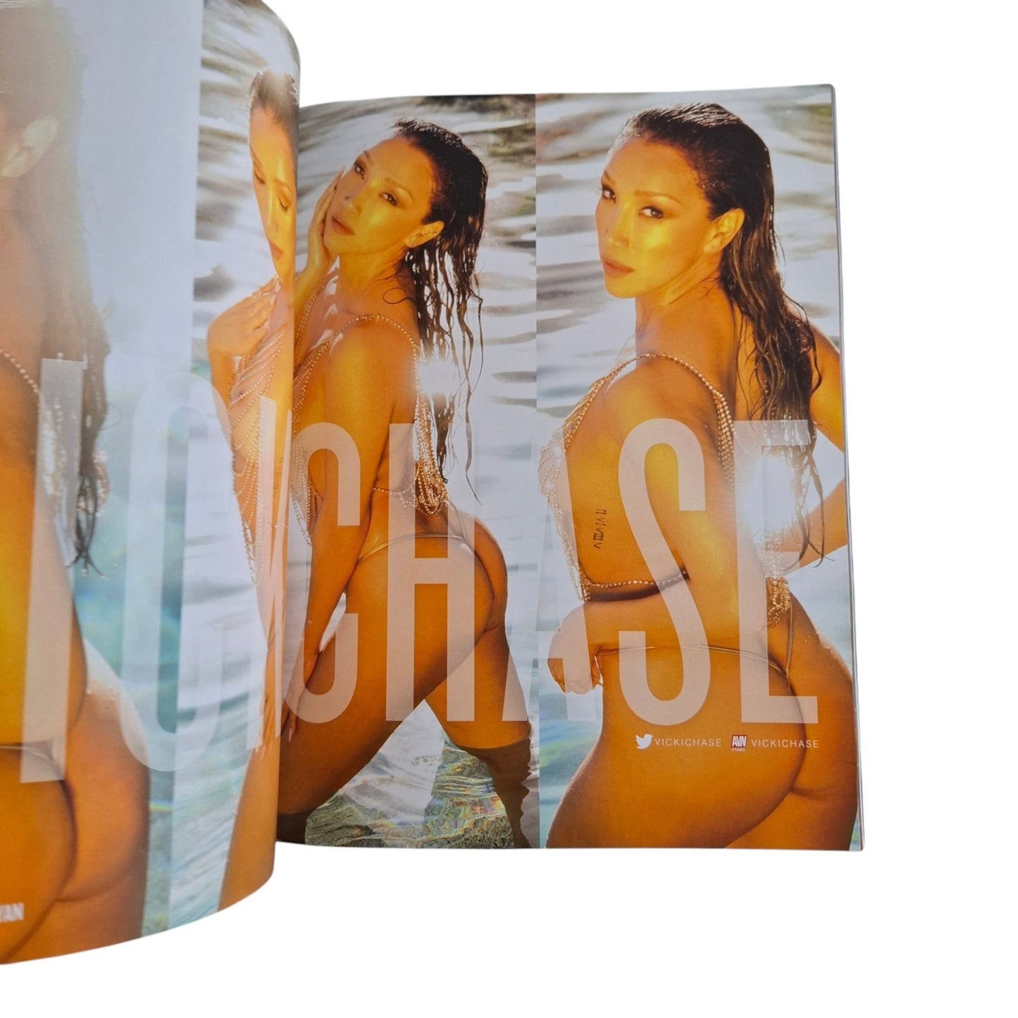 AVN February 2021 Issue 457 Vicki Chase Magazine