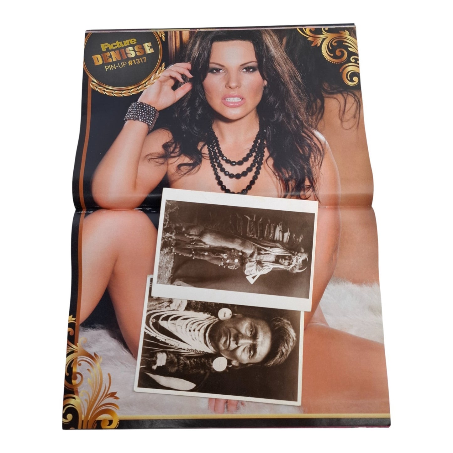 The Picture Magazine #1317 December 2013 Nika / Denise