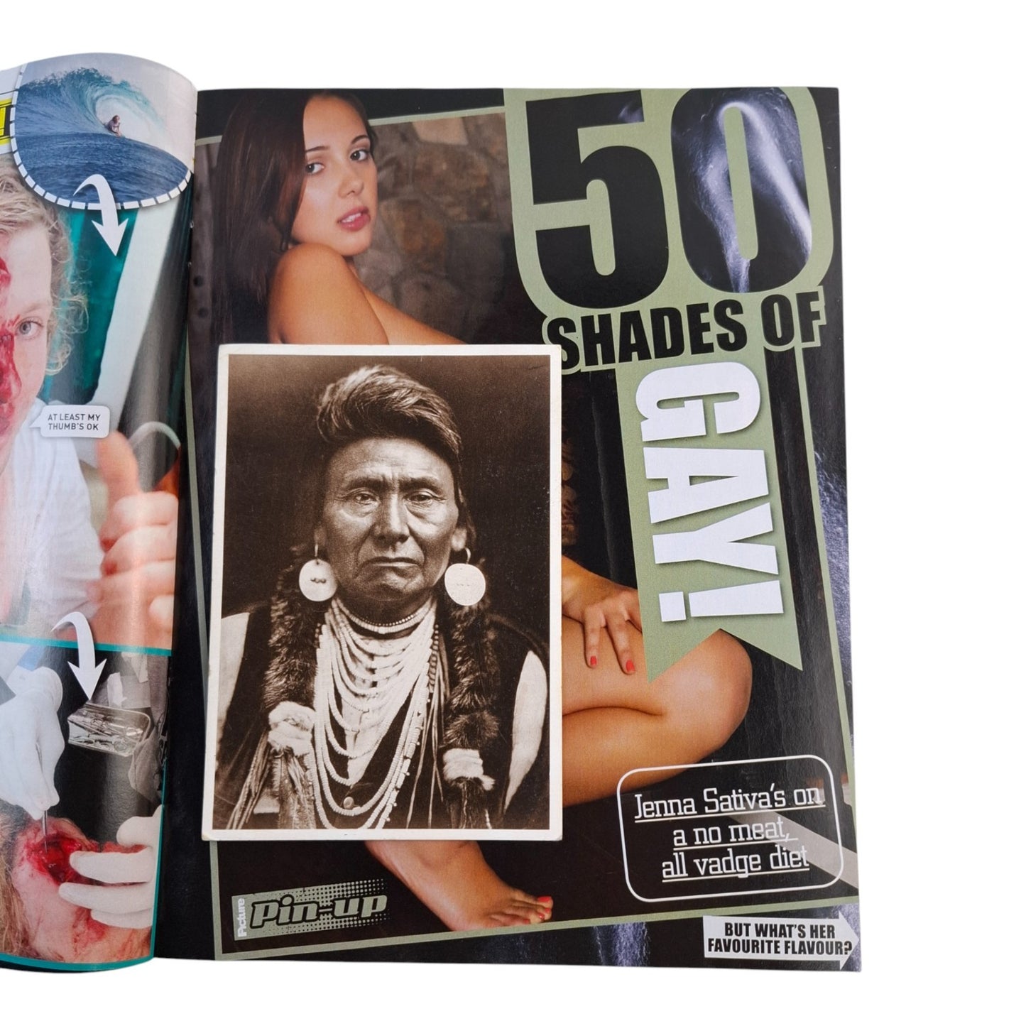 The Picture Magazine #1432 June 2017 Cara Brett