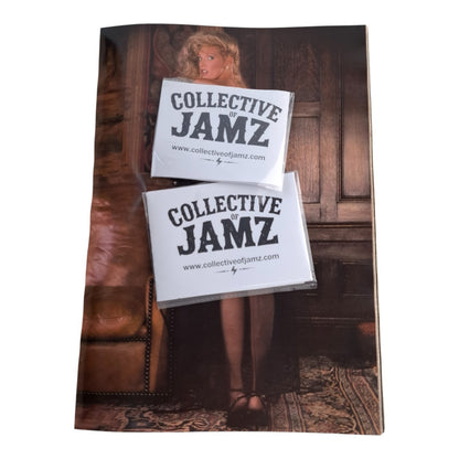 Playboy Magazine Playmate Review Second Annual Roundup 1985 Pamela Saunders