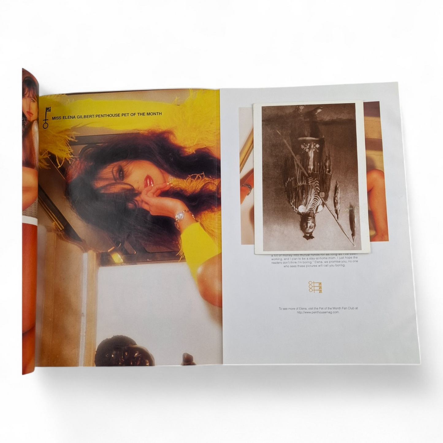 PENTHOUSE U.S - Men's Magazine July 1997 Elena Gilbert