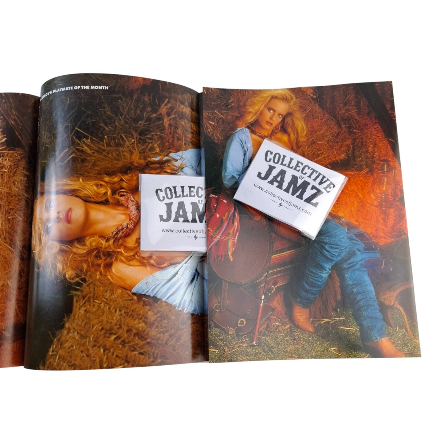 Australian Playboy Magazine August 1988 Johanna Oetiker