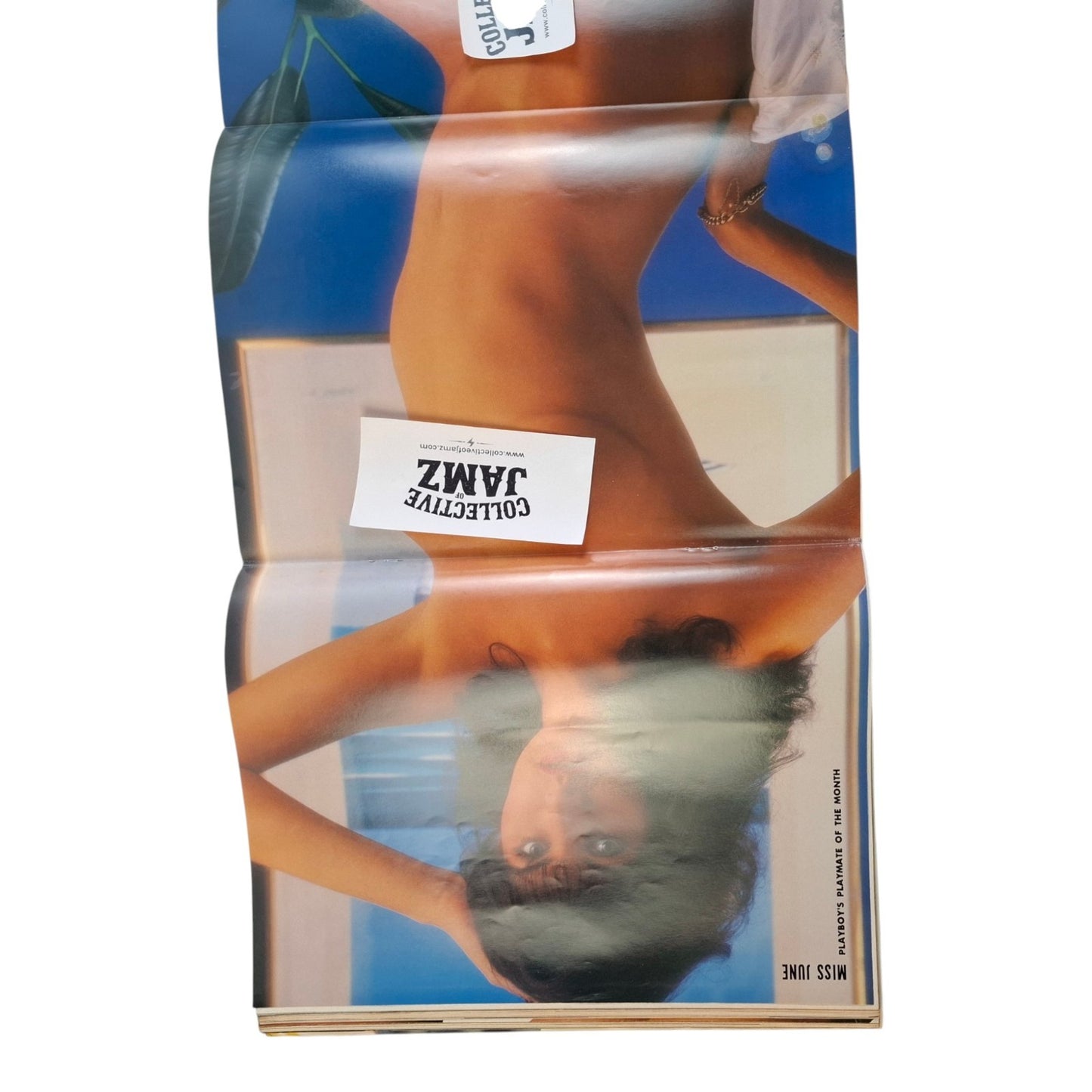 Australian Playboy Magazine June 1981  Denise Gauthier / Julie King