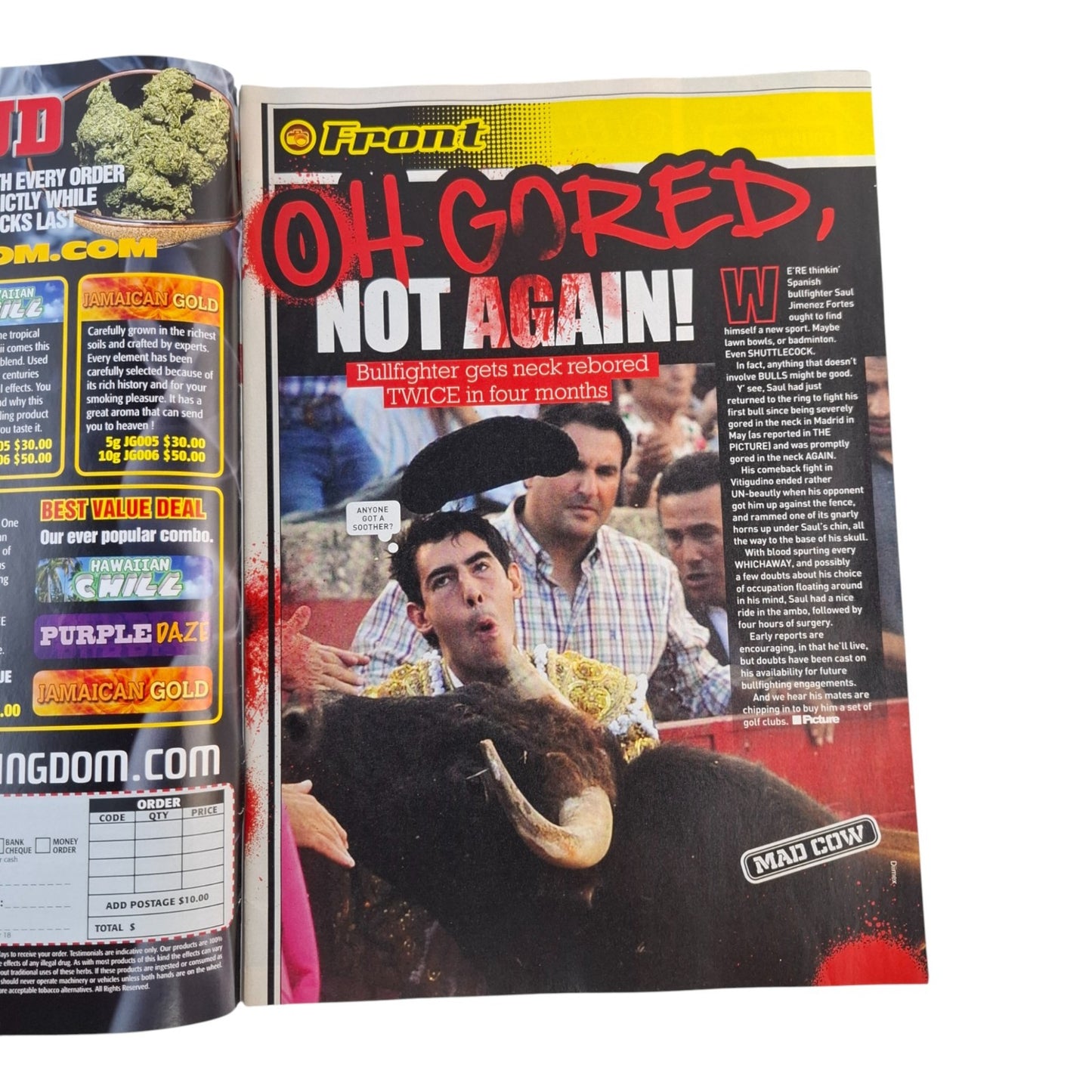 The Picture Magazine #1387 September 2015 Liz Marxs