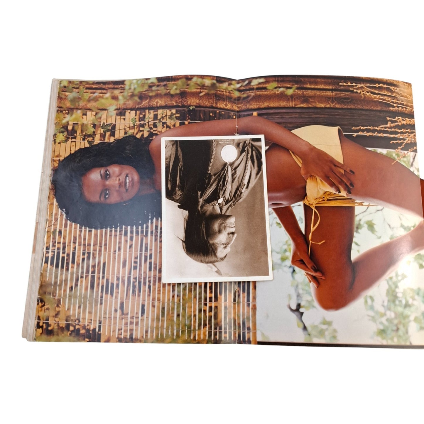 PLAYBOY MAGAZINE April 1973 Lenna Sjooblom Linda Lovelace Tennessee Williams