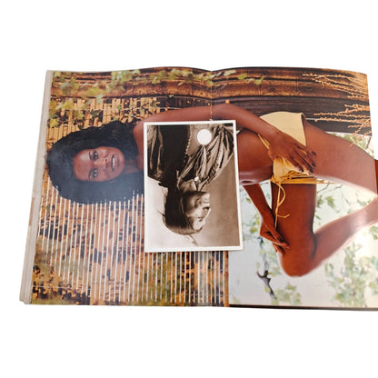 PLAYBOY MAGAZINE April 1973 Lenna Sjooblom Linda Lovelace Tennessee Williams