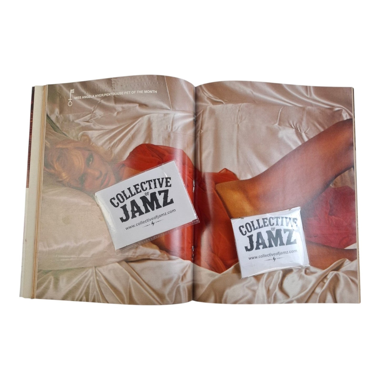 Penthouse Magazine May 1978 Danielle Guerra / Angela Hyer
