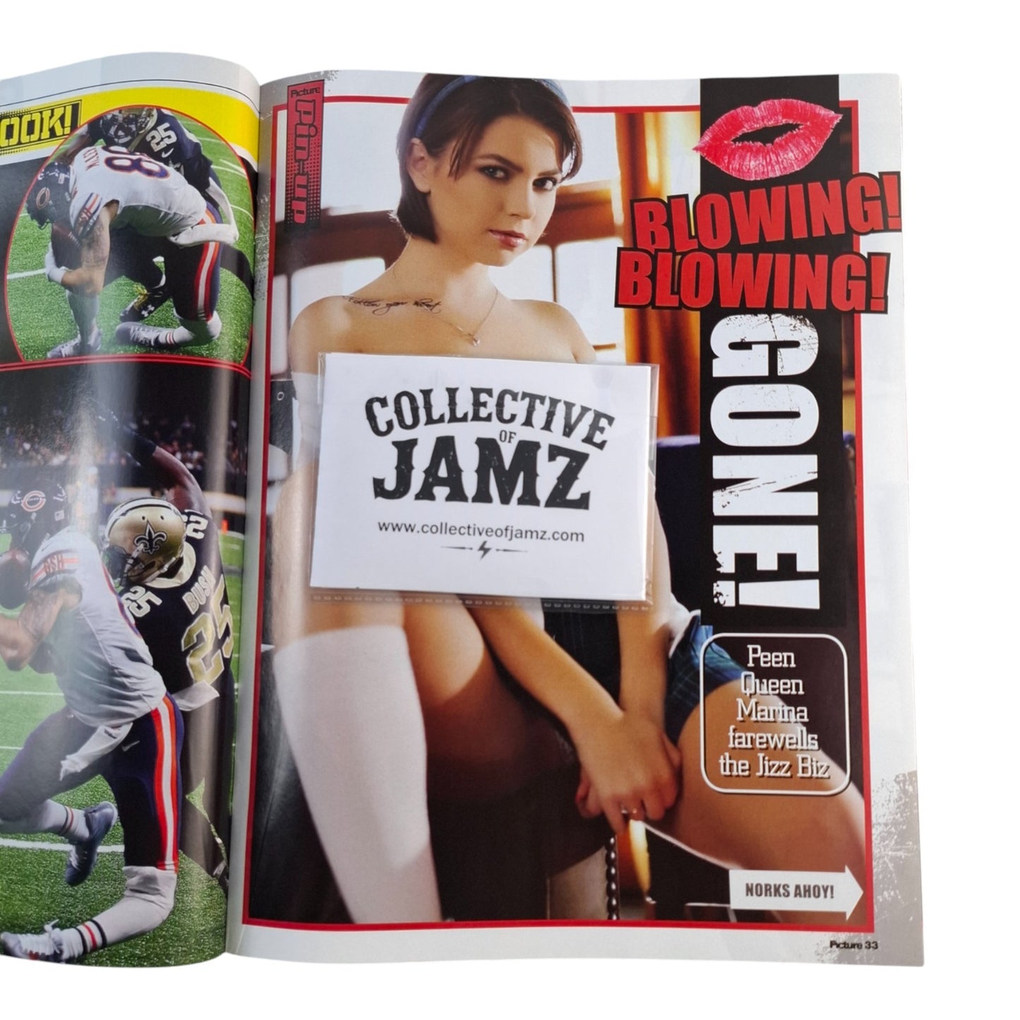 The Picture Magazine Australia #1445 December 2017 Sophie Reade / Marina