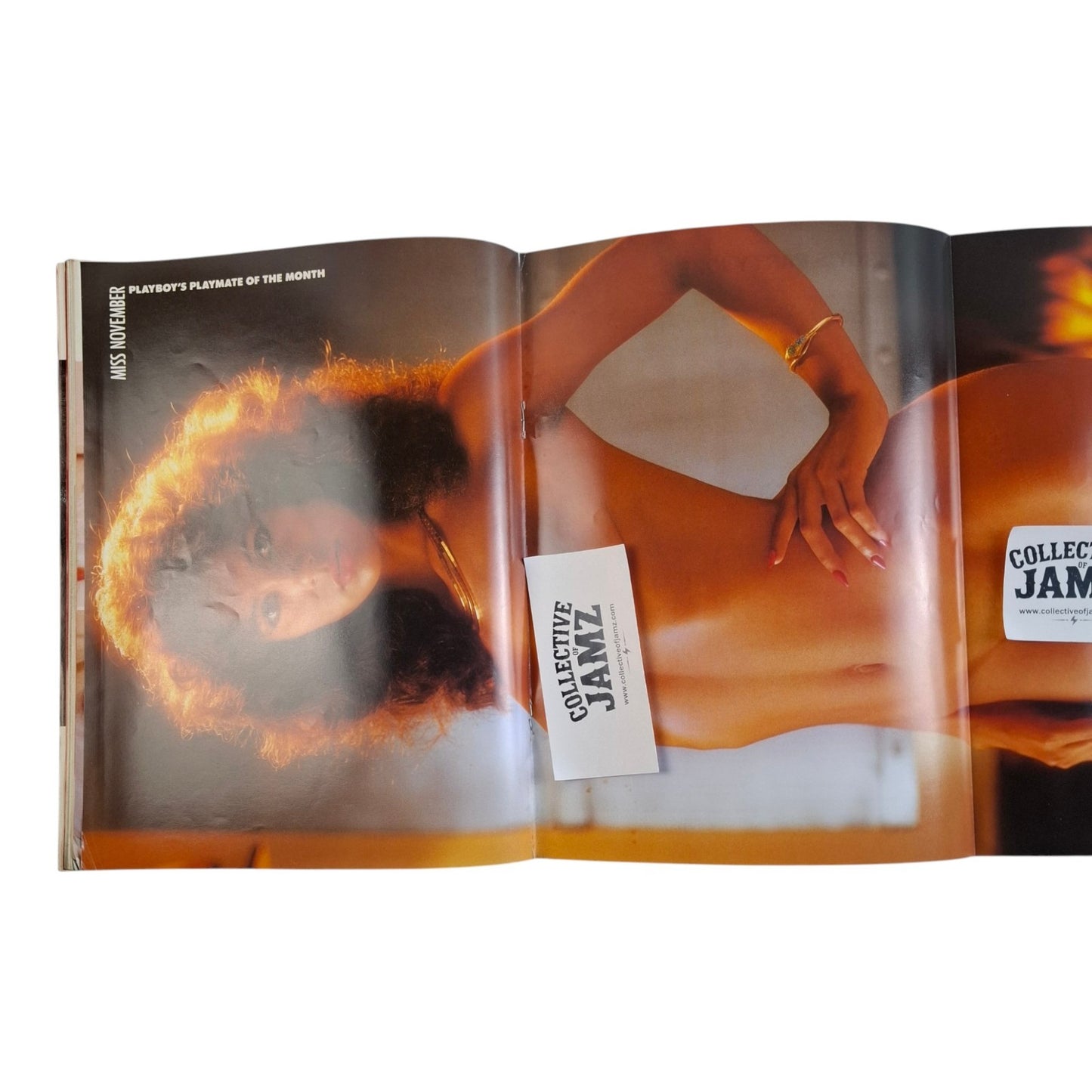 Australian Playboy Magazine November 1985 Jerry Hall / Shirley-Jane Mercier