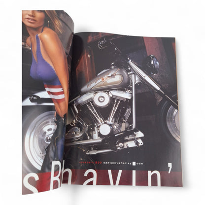 PERFECT 10 Magazine Summer 2002 All Natural Playboy Penthouse