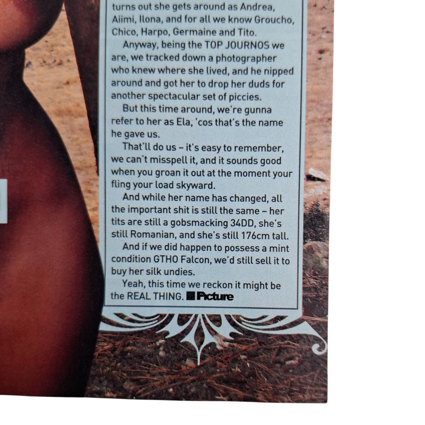 The Picture Magazine #1324 February 2014 Ela Savanas / Alina Vasile / Eva Kass