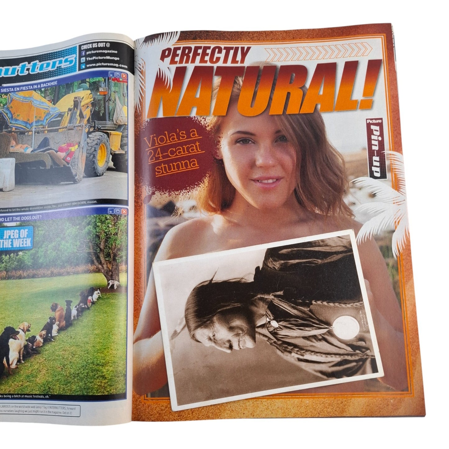 The Picture Magazine #1387 September 2015 Liz Marxs