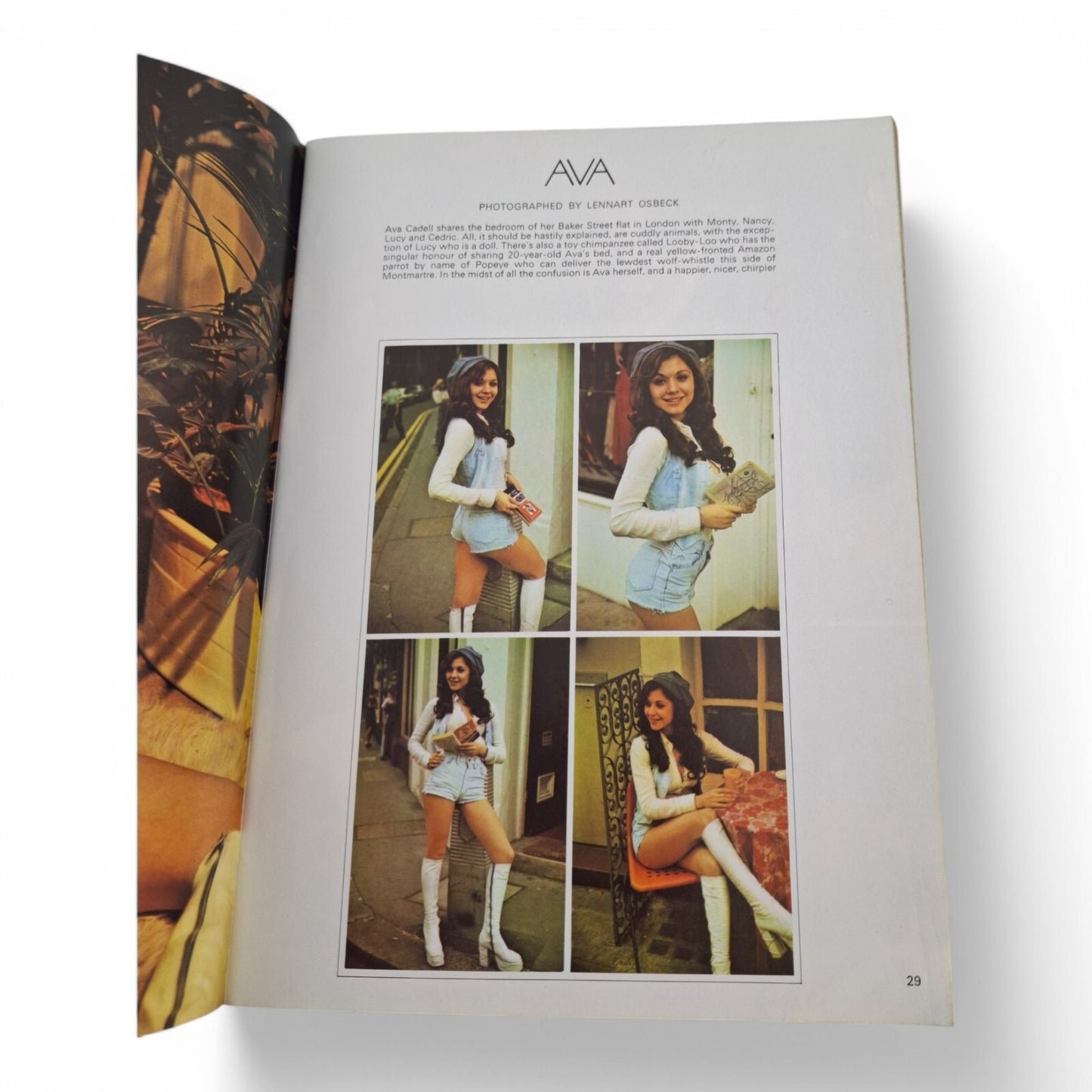 Mayfair Magazine Vol. 10 No. 7 July 1975 U.K Playboy Barbara Molyneux