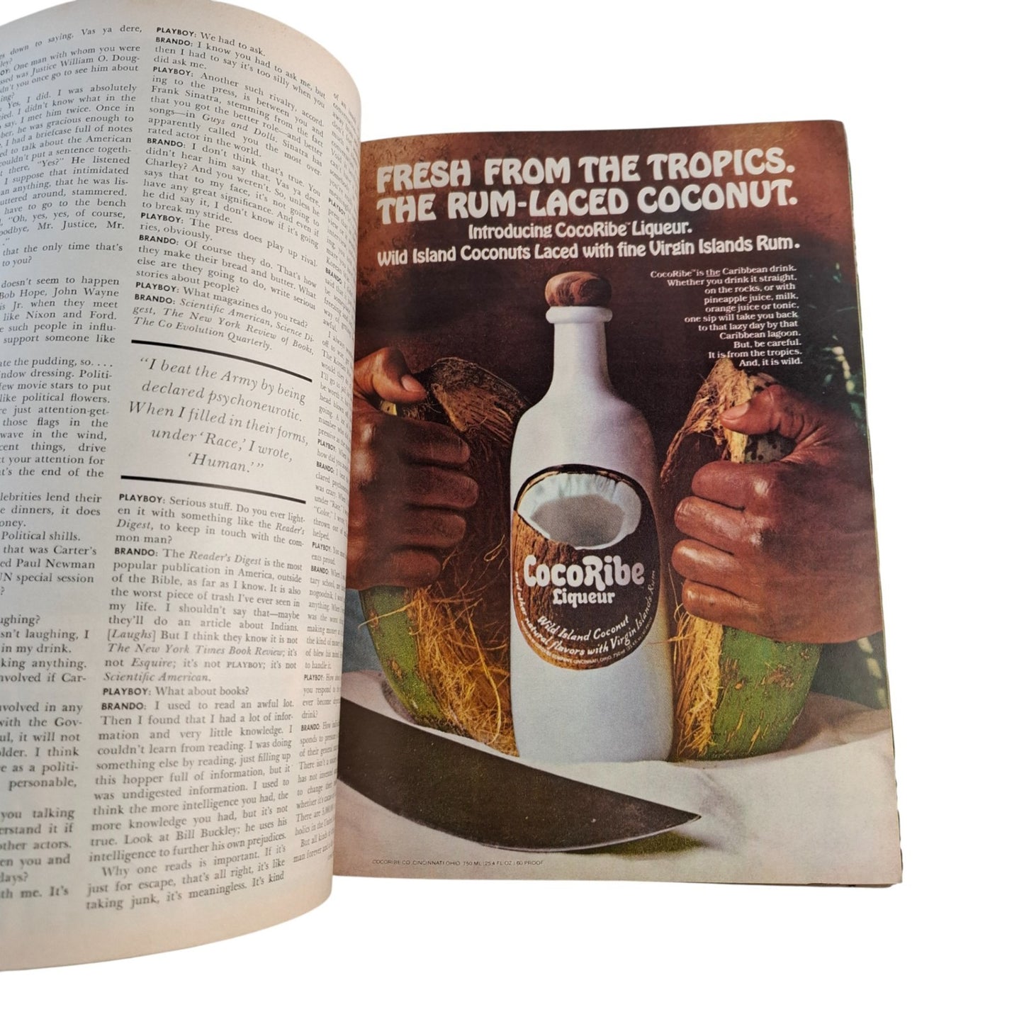 Playboy MAGAZINE January 1979 - Twenty Fifth Issue