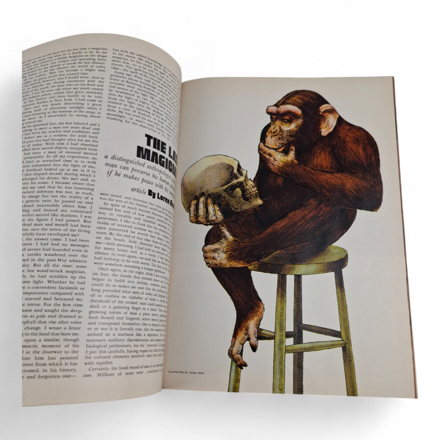 PLAYBOY Magazine August 1970 Linda Donnelly COMPLETE