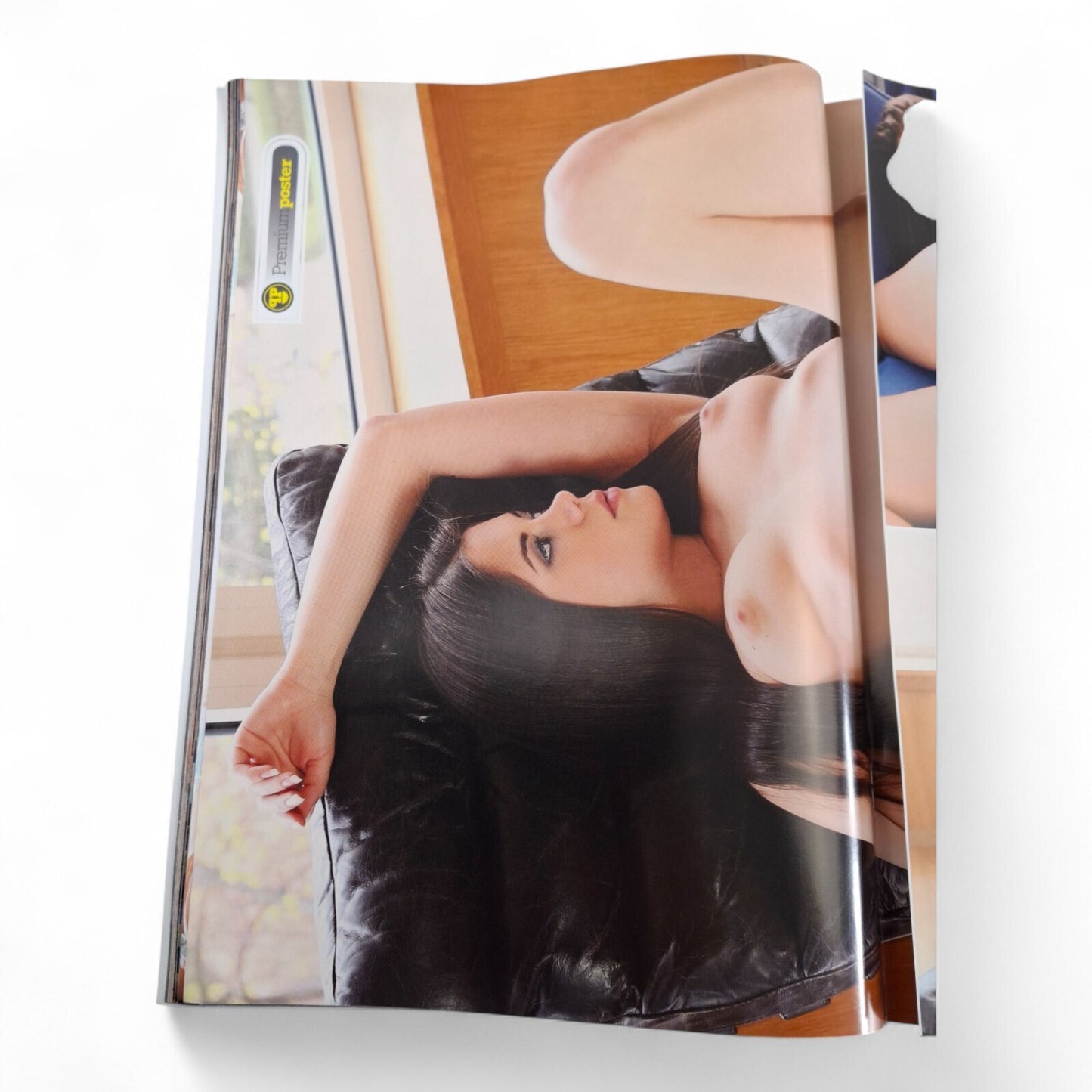 The Picture Premium Magazine Australian Issue 171 Excellent COMPLETE - PLAYBOY
