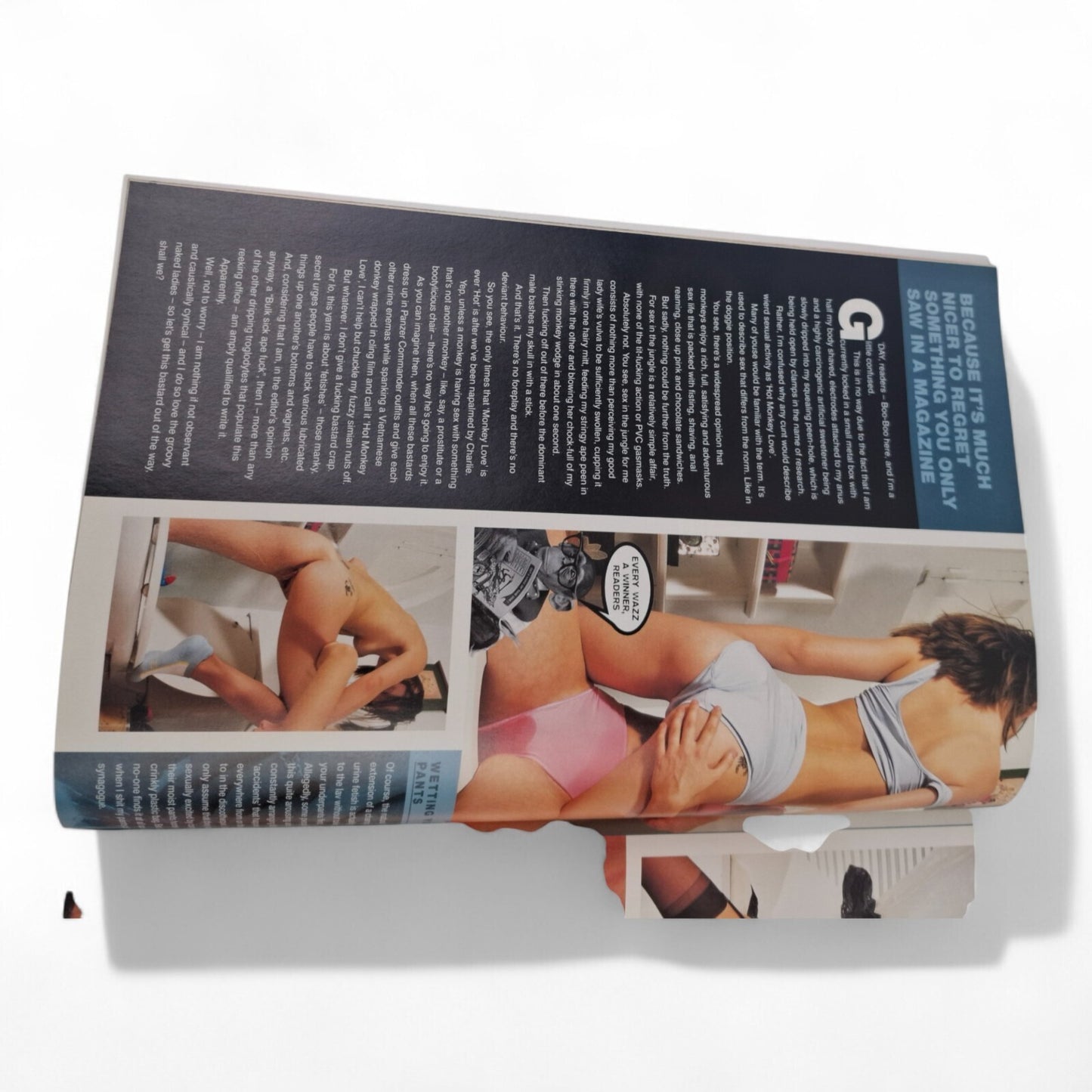 The Picture Premium Magazine Australian Issue 38 Excellent Mayfair - Playboy