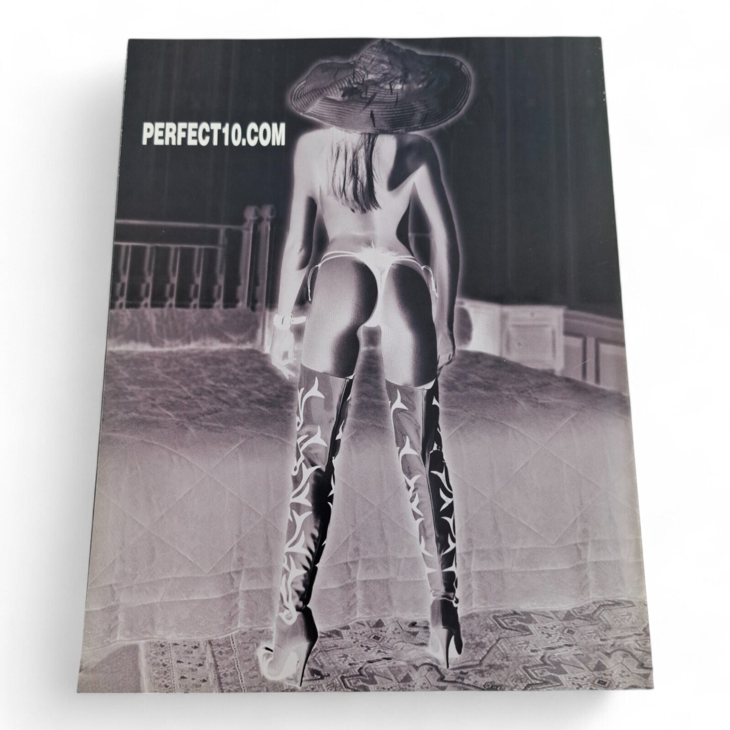 PERFECT 10 Magazine Fall 2002 All Natural Amber Smith Playboy Penthouse