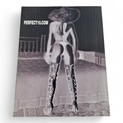 PERFECT 10 Magazine Fall 2002 All Natural Amber Smith Playboy Penthouse