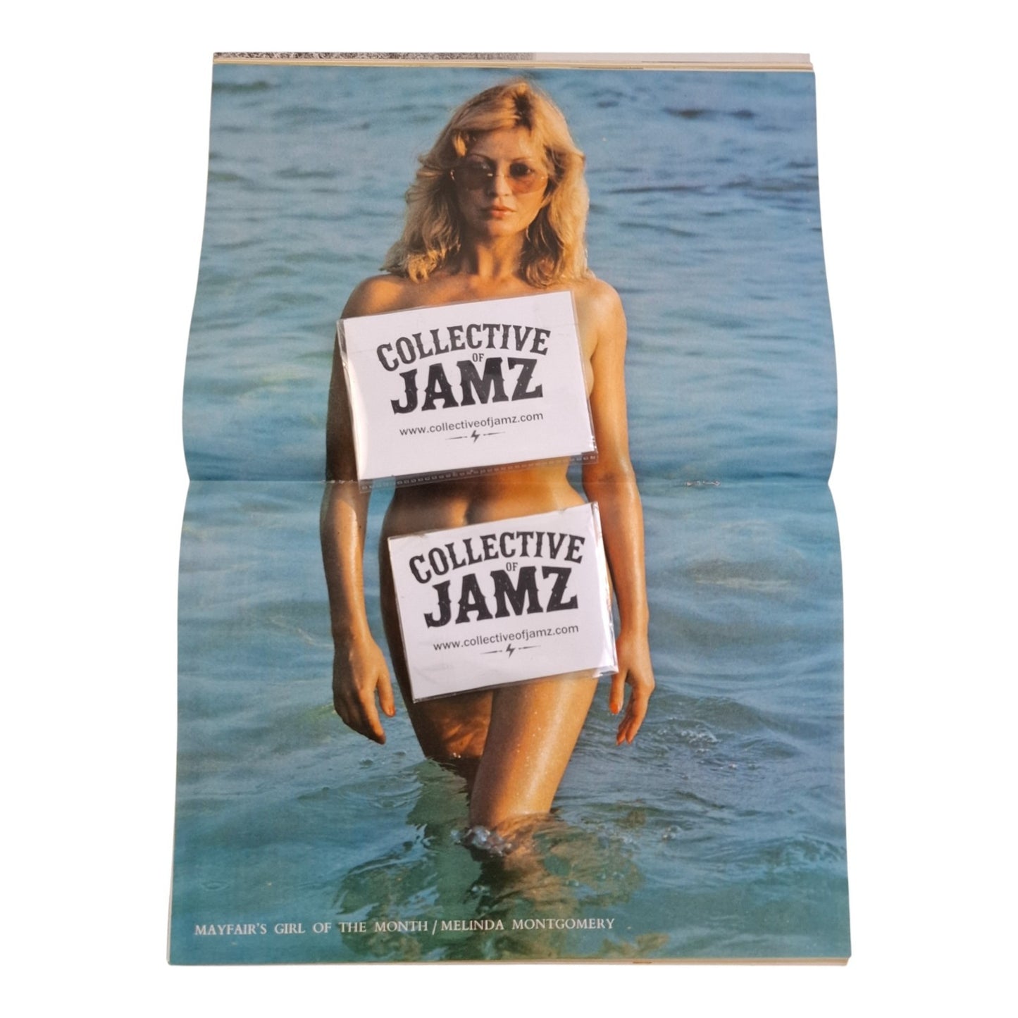 Mayfair Magazine Vol. 15 No. 7 July 1980 Melinda Montgomery
