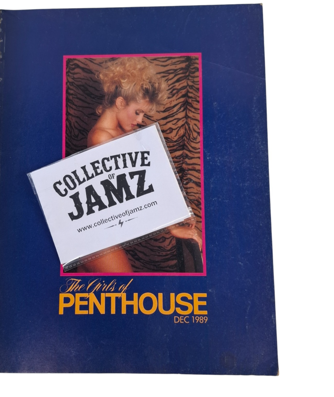 The Girls Of Penthouse Magazine December 1989 Lisa Mandoki