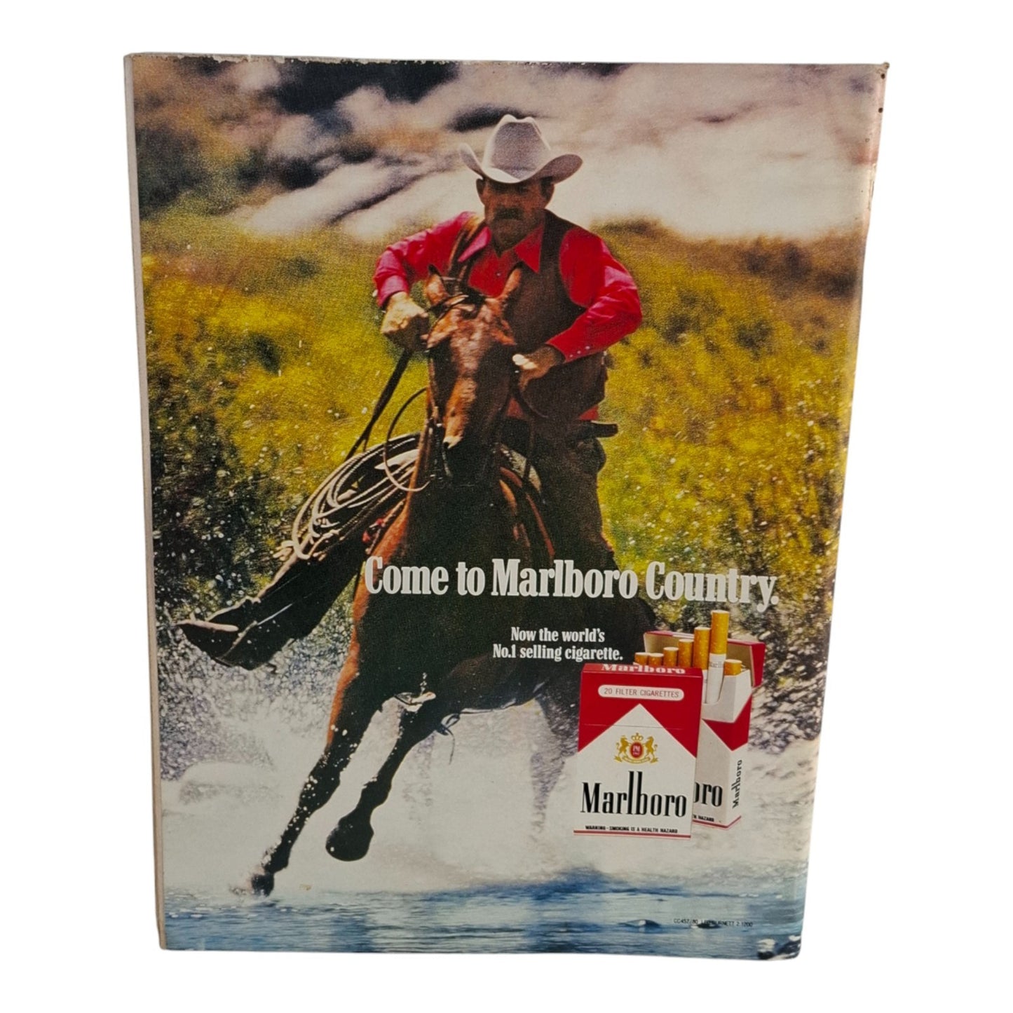 AUSTRALIAN PLAYBOY Magazine June 1980 Zy Laurent / Harry Butler