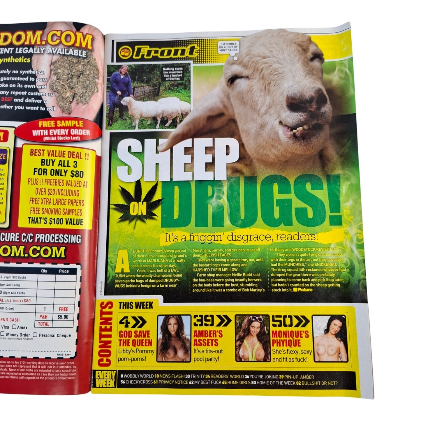 The Picture Magazine #1361 November 2014 Libby Smith