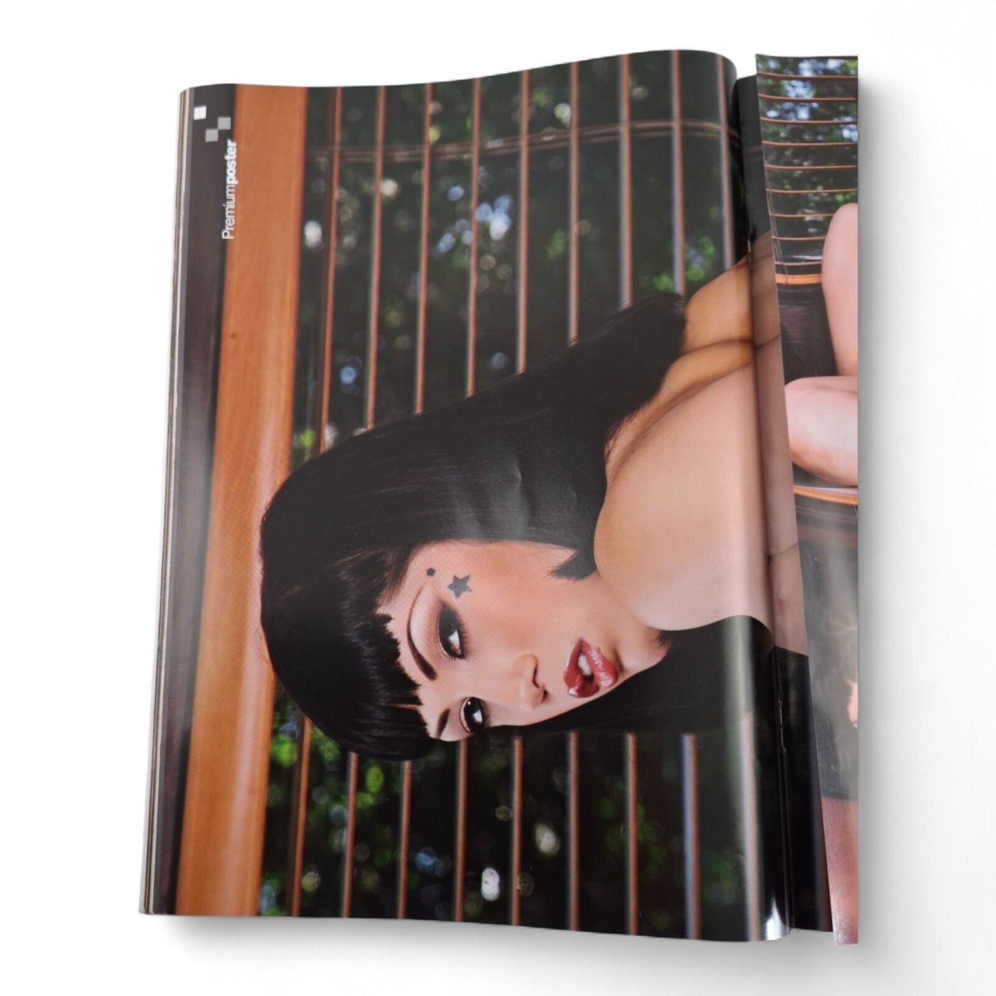 The Picture Premium Magazine Australian Issue 161 COMPLETE - PLAYBOY