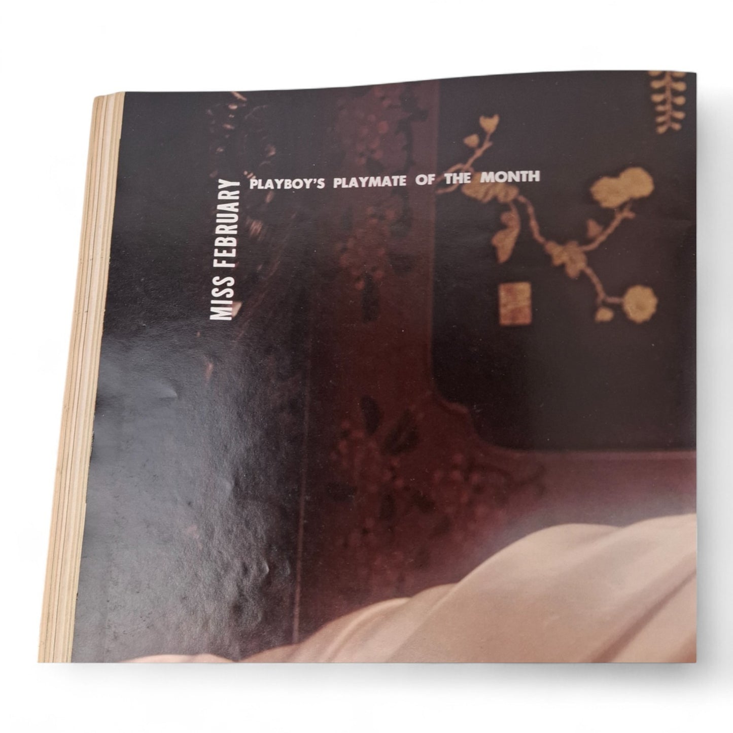 PLAYBOY Magazine February 1974 Karen Christy COMPLETE